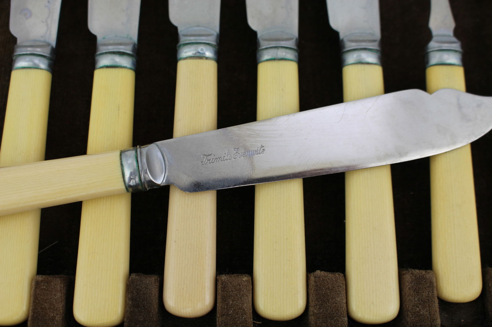 Vintage Trimils & Everwhite Cased Fish Flatware Set - 5