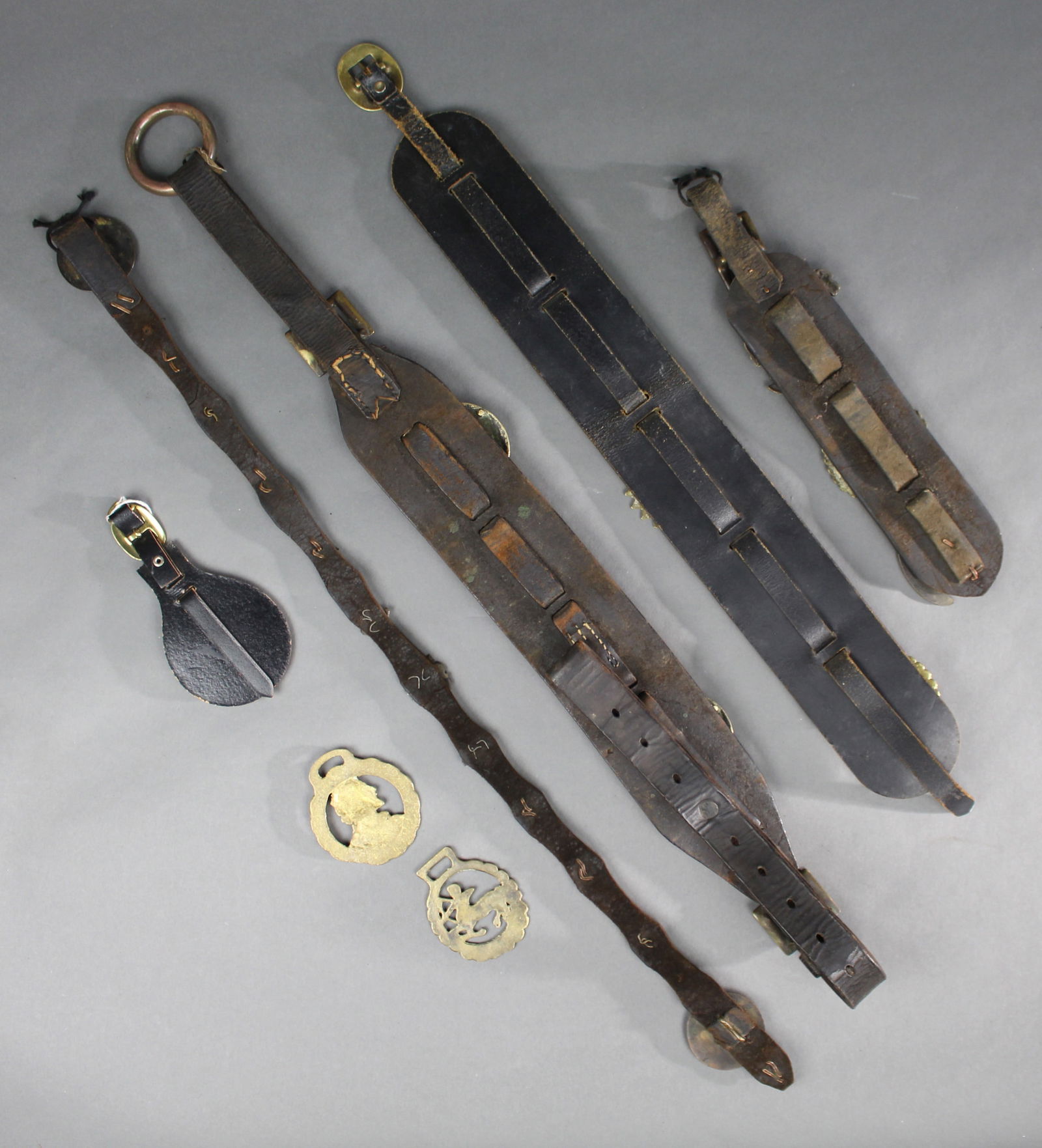 Collection of Antique & Vintage Horse Harnesses Brasses - 4