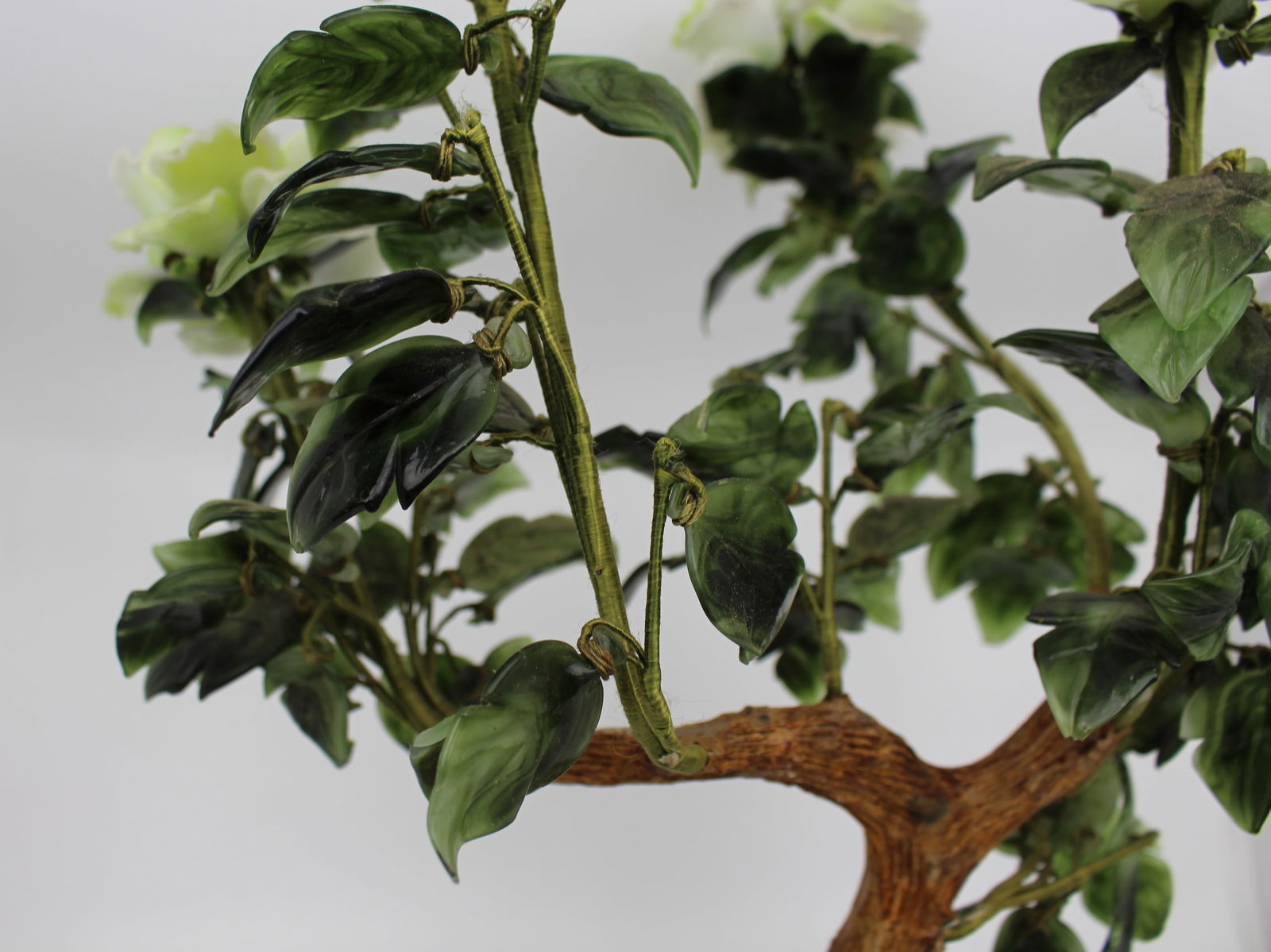 Jade Bonsai Plant - 10