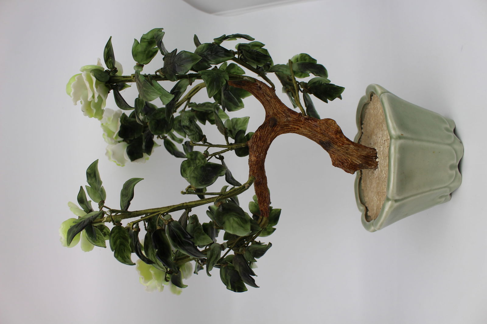 Jade Bonsai Plant - 11