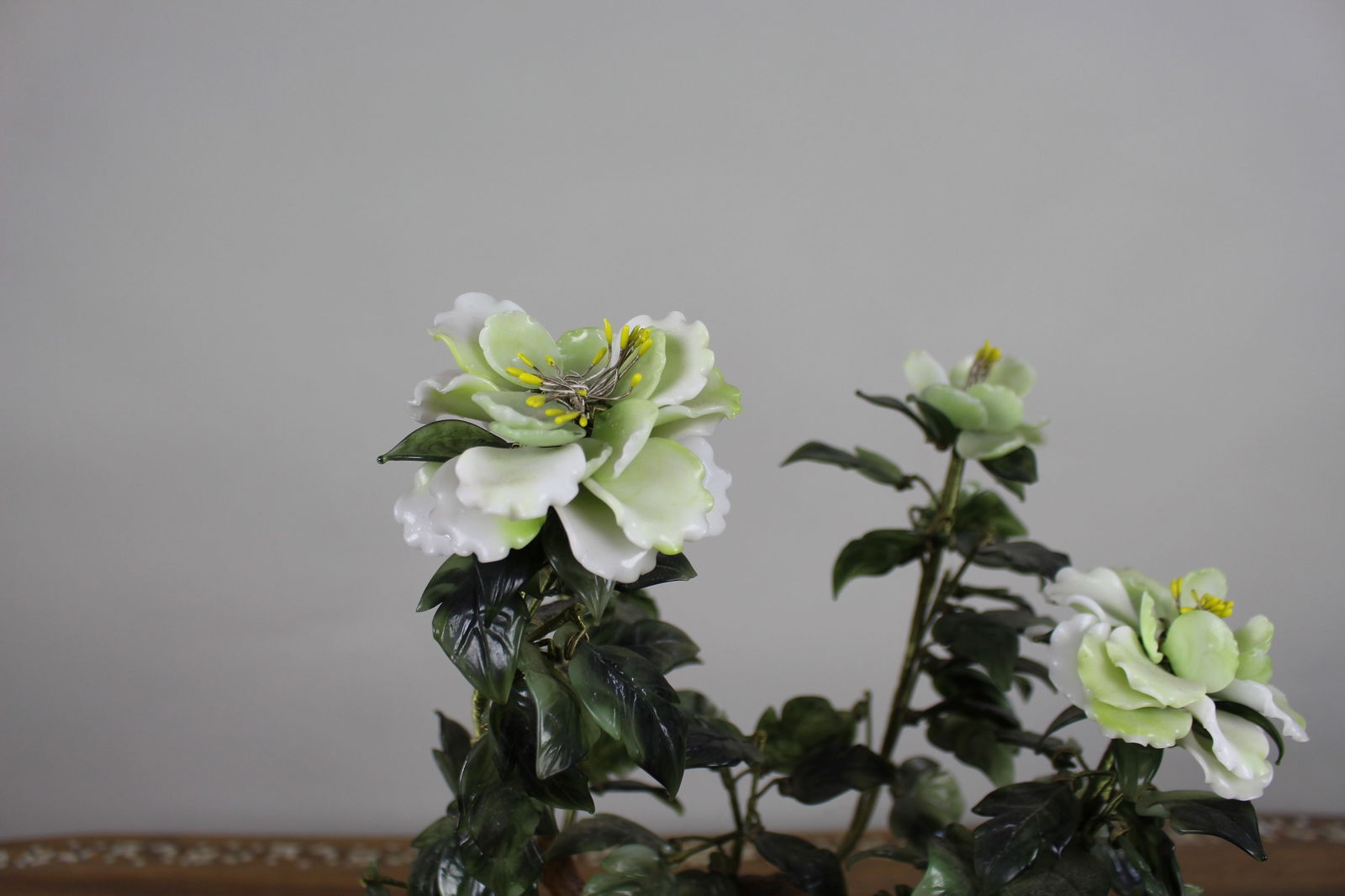 Jade Bonsai Plant - 2