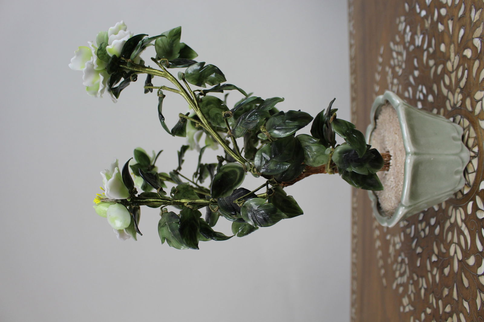 Jade Bonsai Plant - 4