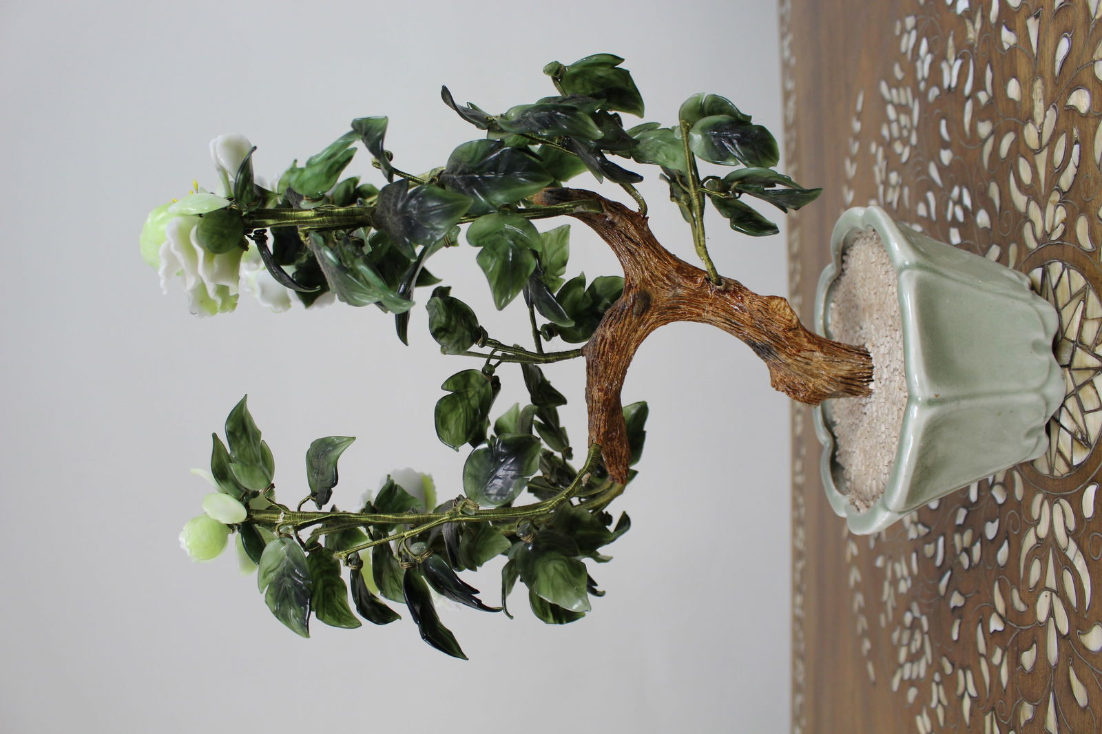 Jade Bonsai Plant - 5