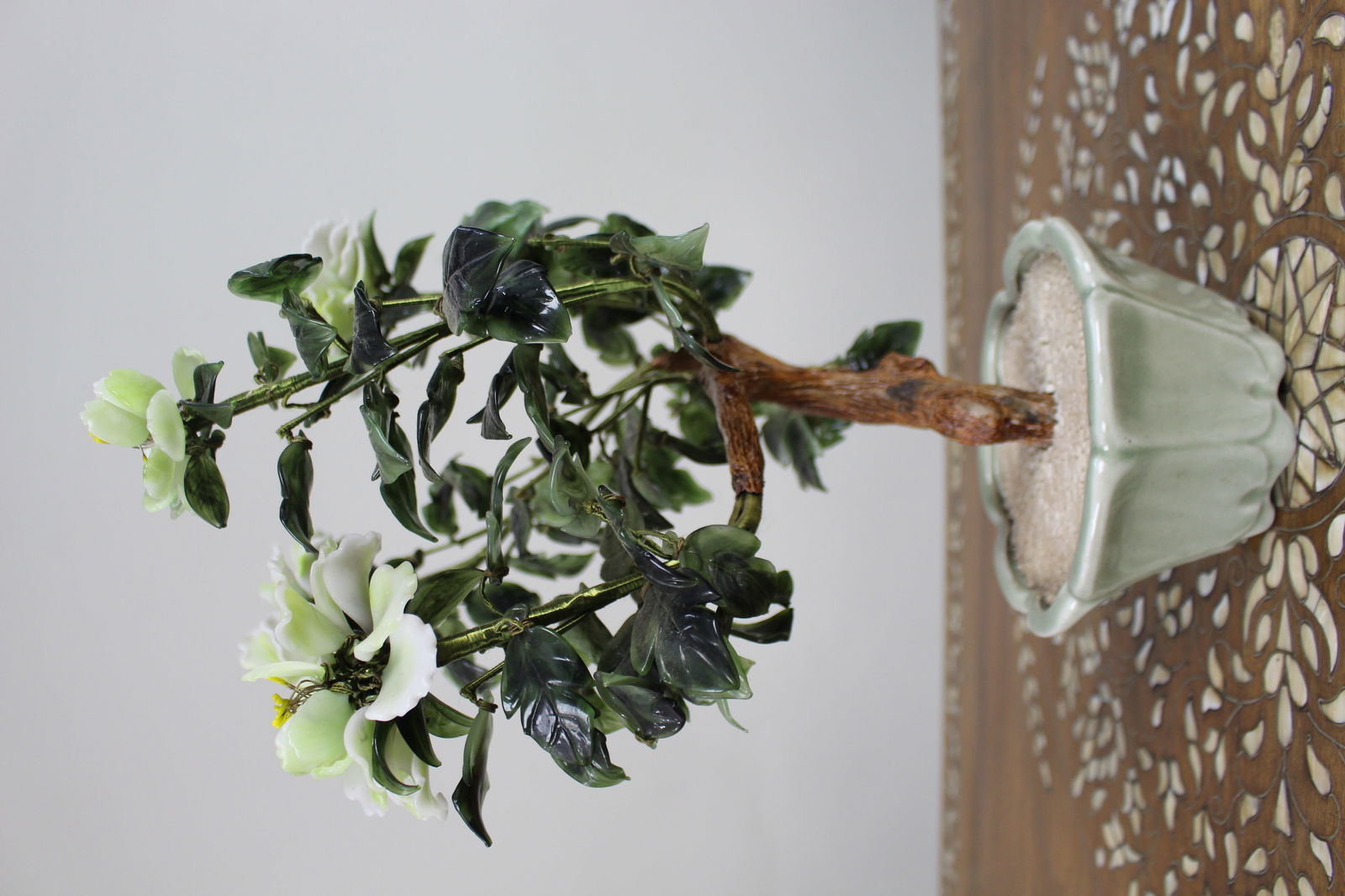 Jade Bonsai Plant - 6