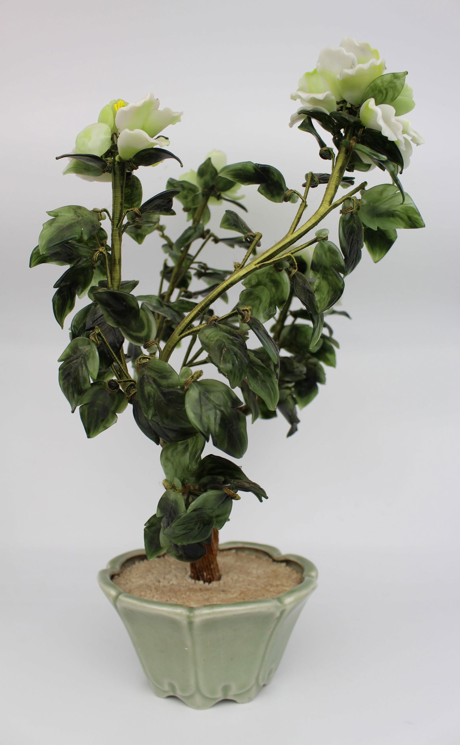 Jade Bonsai Plant - 8