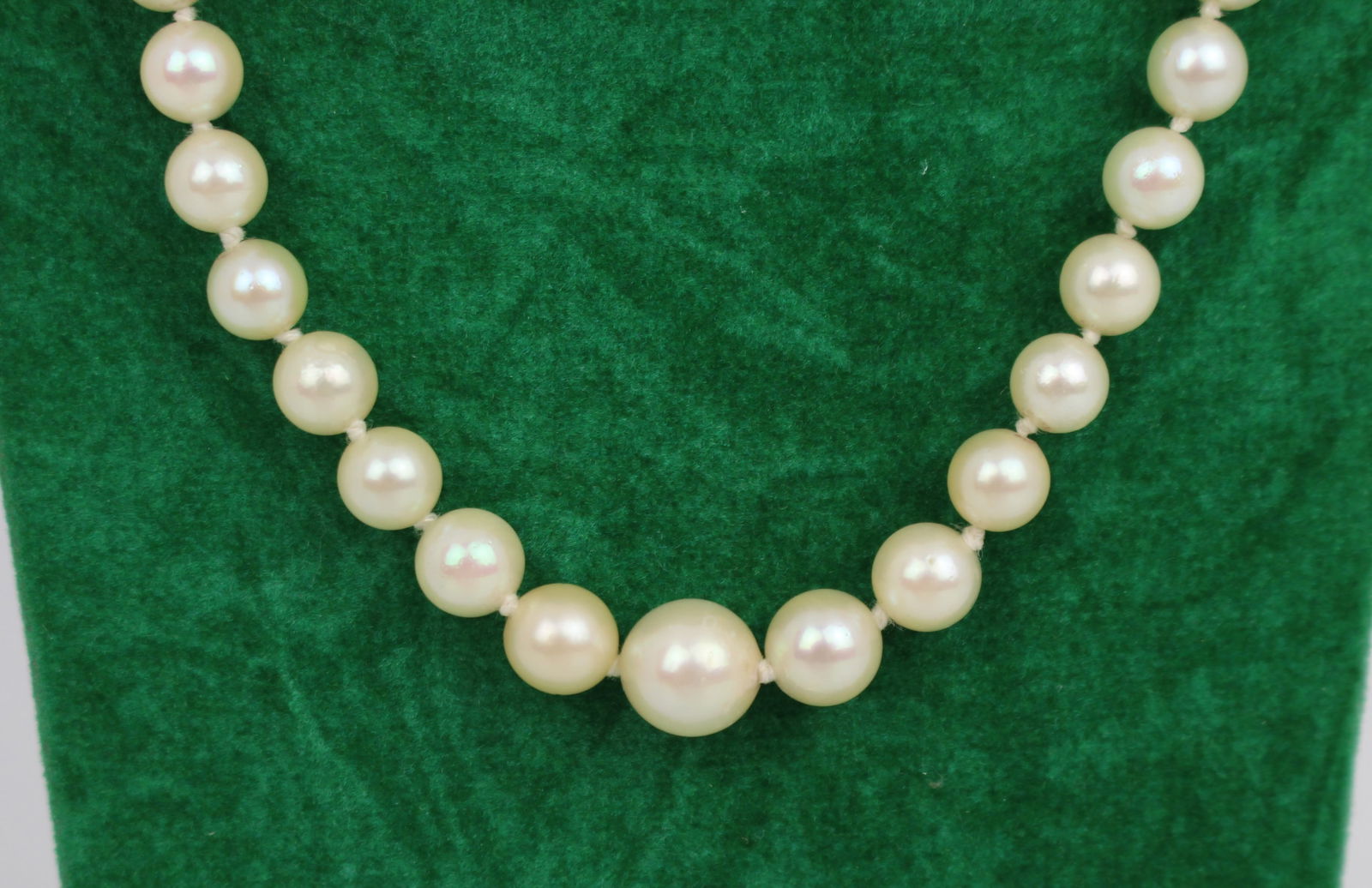 Cultured Pearl Necklace with 9ct Gold Clasp - 4