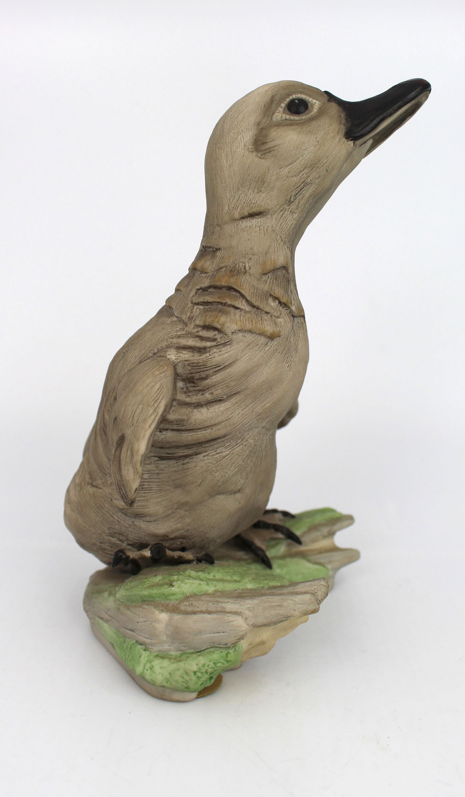 Bohem Cygnet Olor Standing - 2