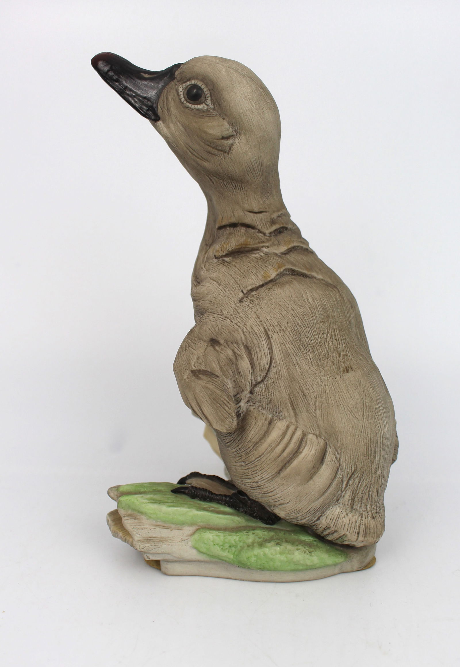 Bohem Cygnet Olor Standing - 3