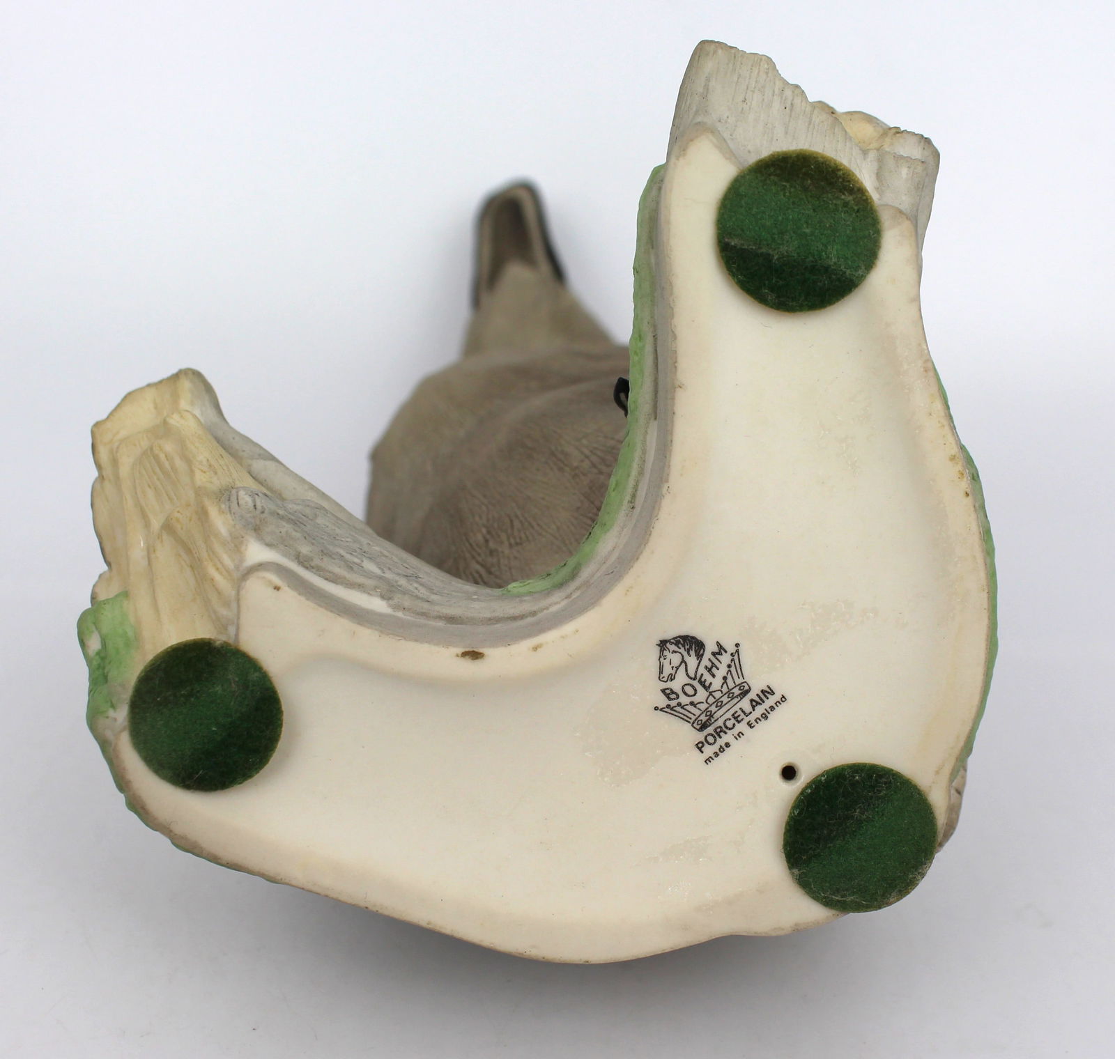 Bohem Cygnet Olor Standing - 4