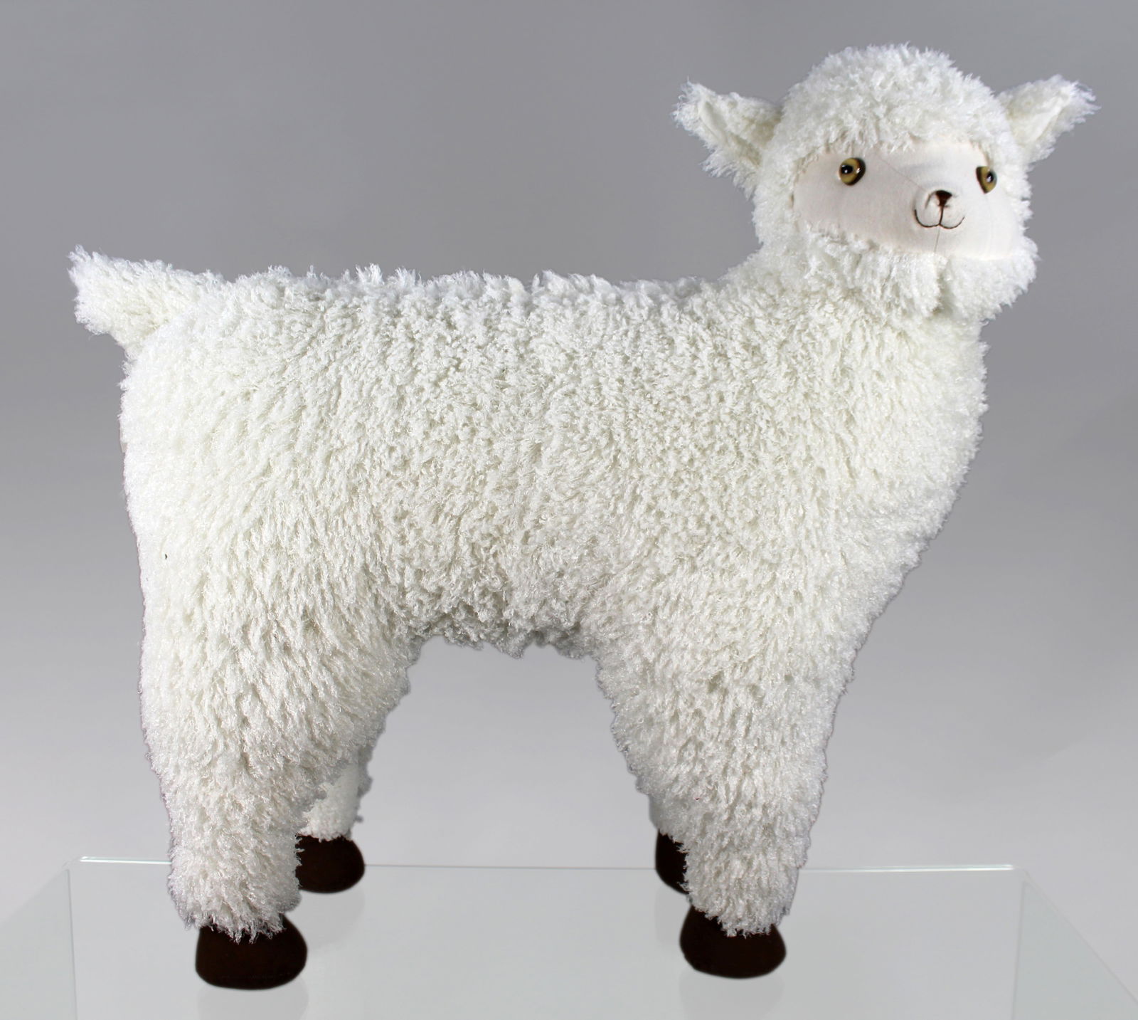 Fluffy Sheep (1 of 4)