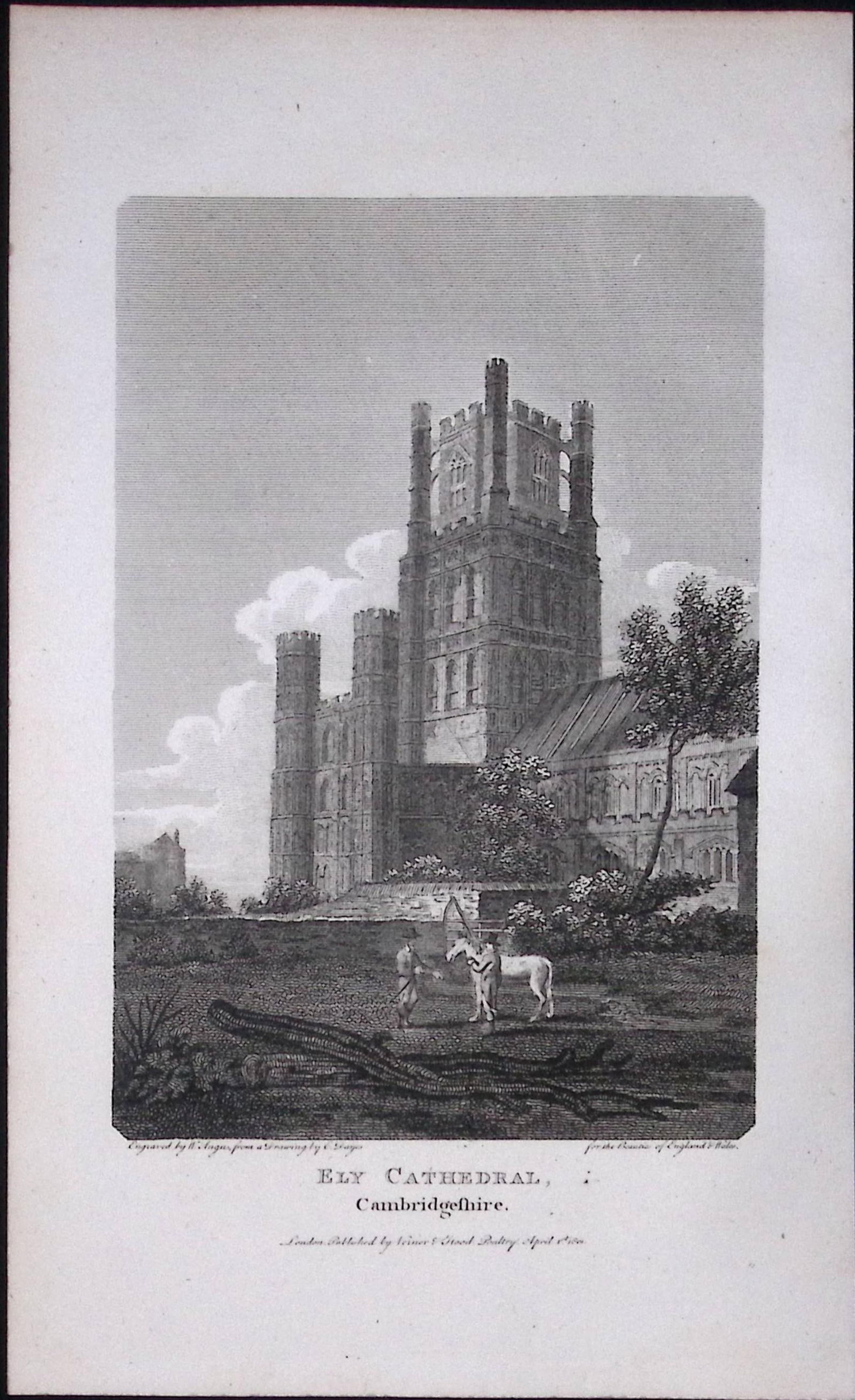 Ely Cathedral Cambridgeshire Antique 224 Years-Old Steel-Engraving-65: Title: Ely Cathedral Cambridgeshire Antique 224 Years-Old Steel-Engraving-65 Description: This Cambridgeshire Georgian Antique Print Was Removed from a First Edition of.