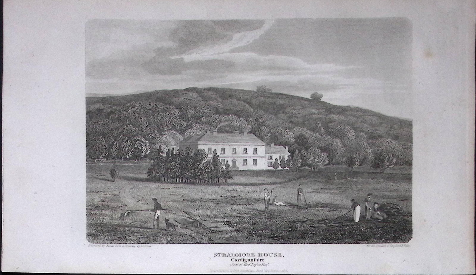 Stradmore House Cardigan Wales 211 Years-Old Georgian Steel-Engraving-479: Title: Stradmore House Cardigan Wales 211 Years-Old Georgian Steel-Engraving-479 Description: Stradmore House Cardigan Wales 211 Years-Old Georgian Steel-Engraving-479 This Welsh Georgian