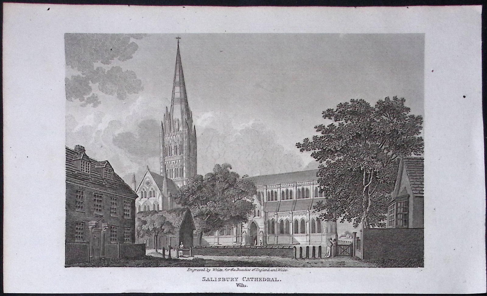 Salisbury Cathedral Wiltshire Antique 211 Years-Old Georgian Steel-Engraving-497: Title: Salisbury Cathedral Wiltshire Antique 211 Years-Old Georgian Steel-Engraving-497 Description: This Wiltshire Georgian Antique Print Was Removed from a First Edition of.