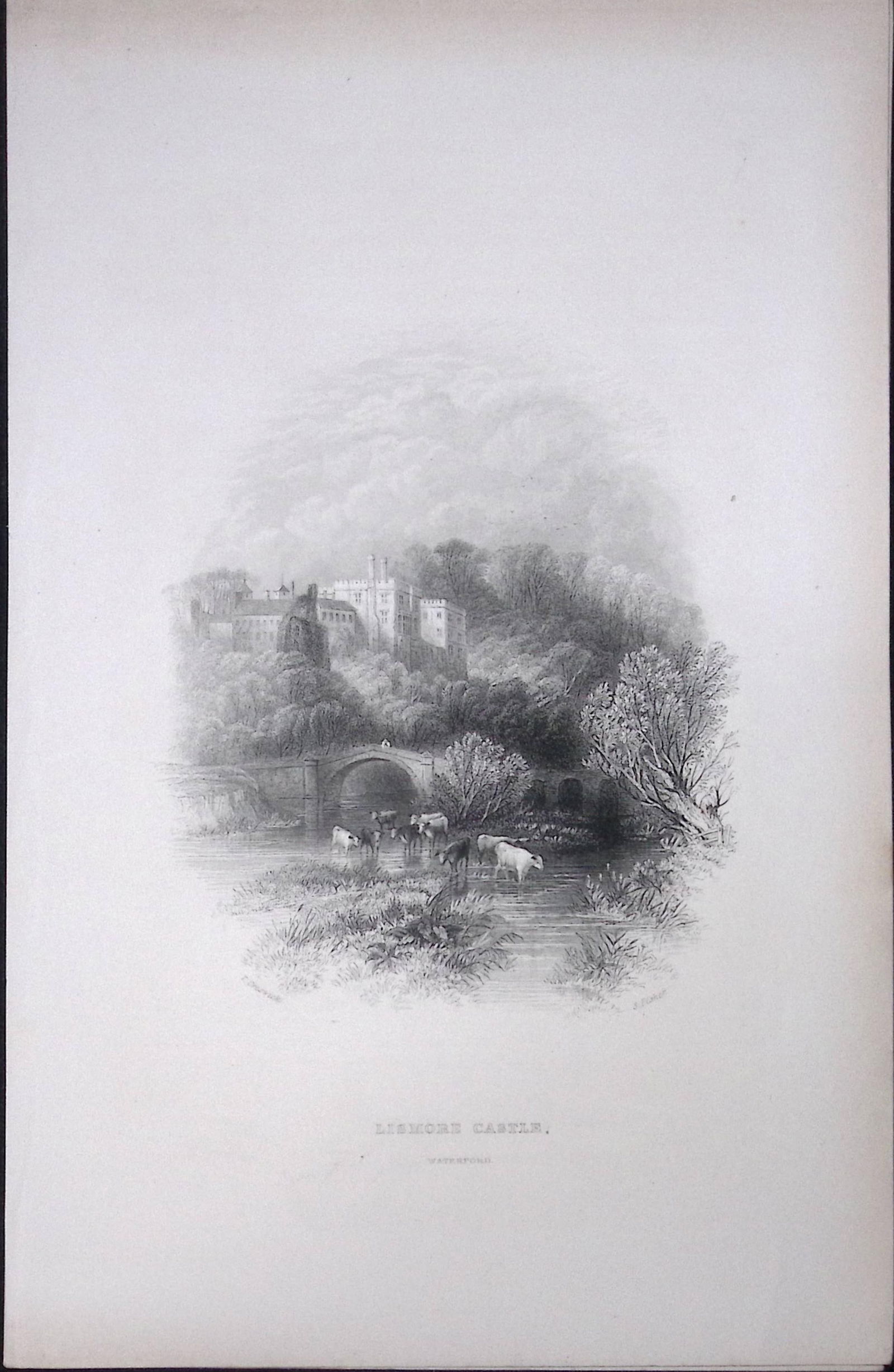 Ireland Lismore Castle Waterford Antique 183 Years-Old Steel-Engraving-38. (1 of 1)
