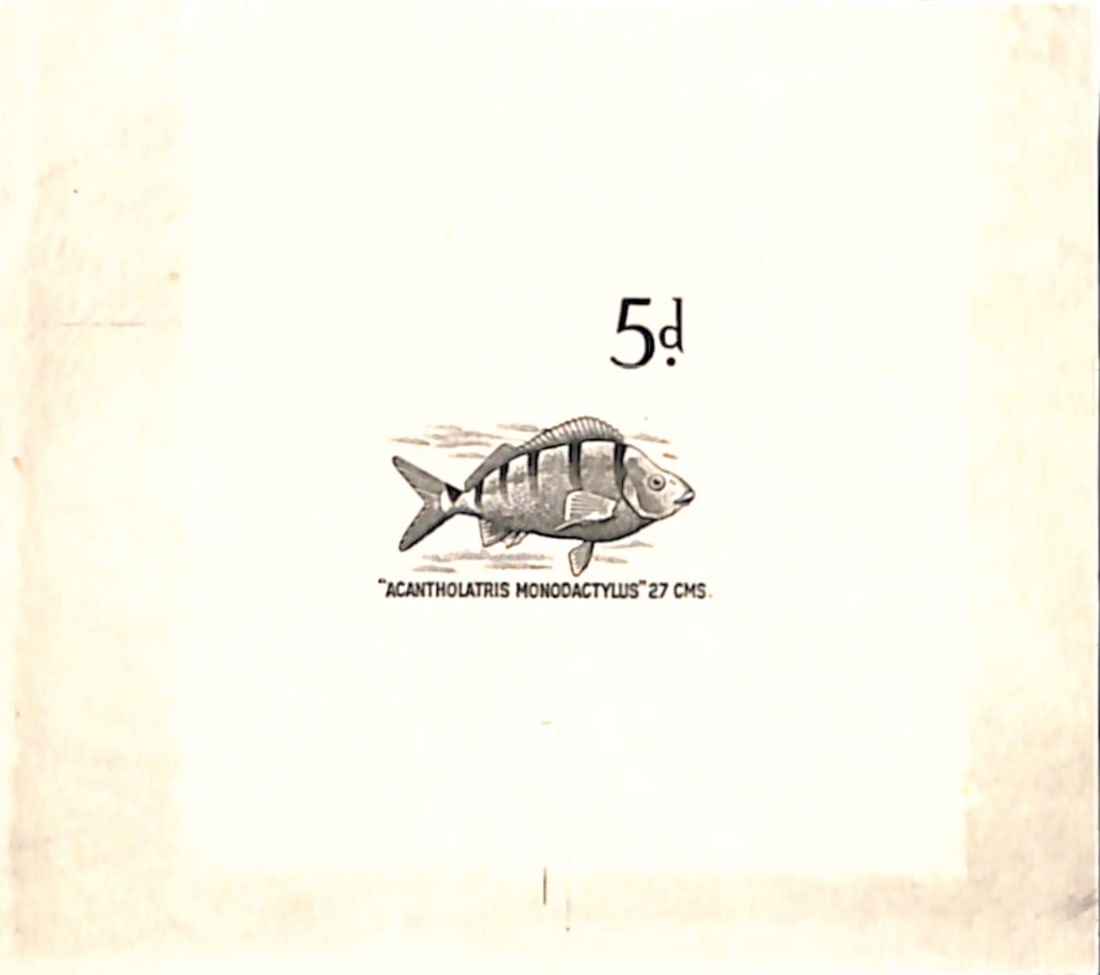 Tristan Da Cunha 1960: Title: Tristan Da Cunha 1960 Description: 5d Fish definitives, vignette and value ESSAY DIE PROOF as the issued design but without the wording "FIVE FINGER" below, printed in black on wove