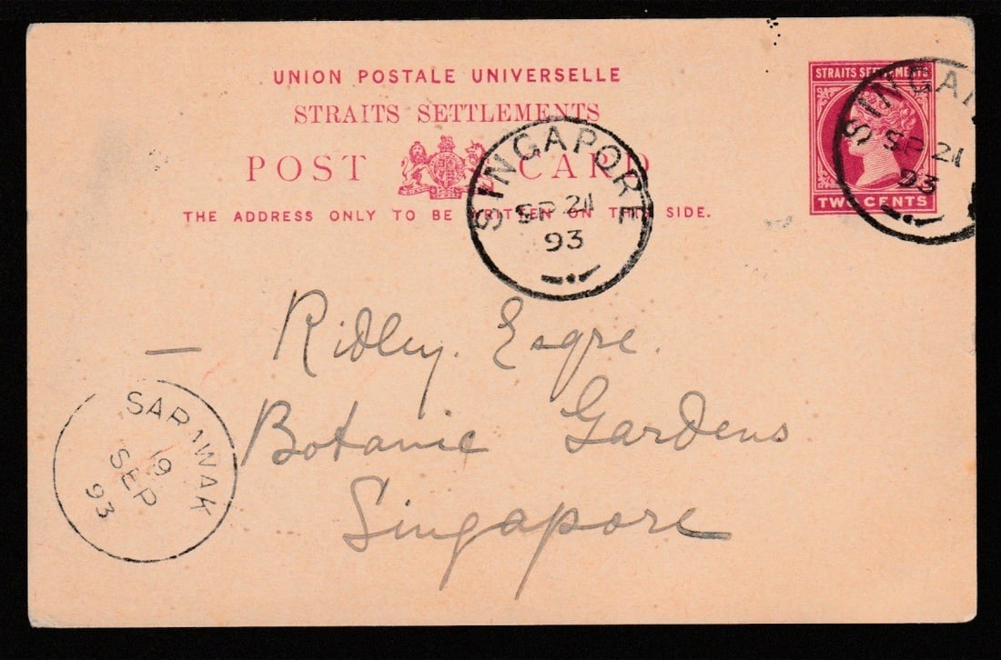 Sarawak 1893: Title: Sarawak 1893 Description: Straits Settlements 2c postal stationery Post Card written from "The Grange, Kuching, Sarawak" to the "Botanic Gardens, Singapore" with a fine "SARAWAK" c.d.s.
