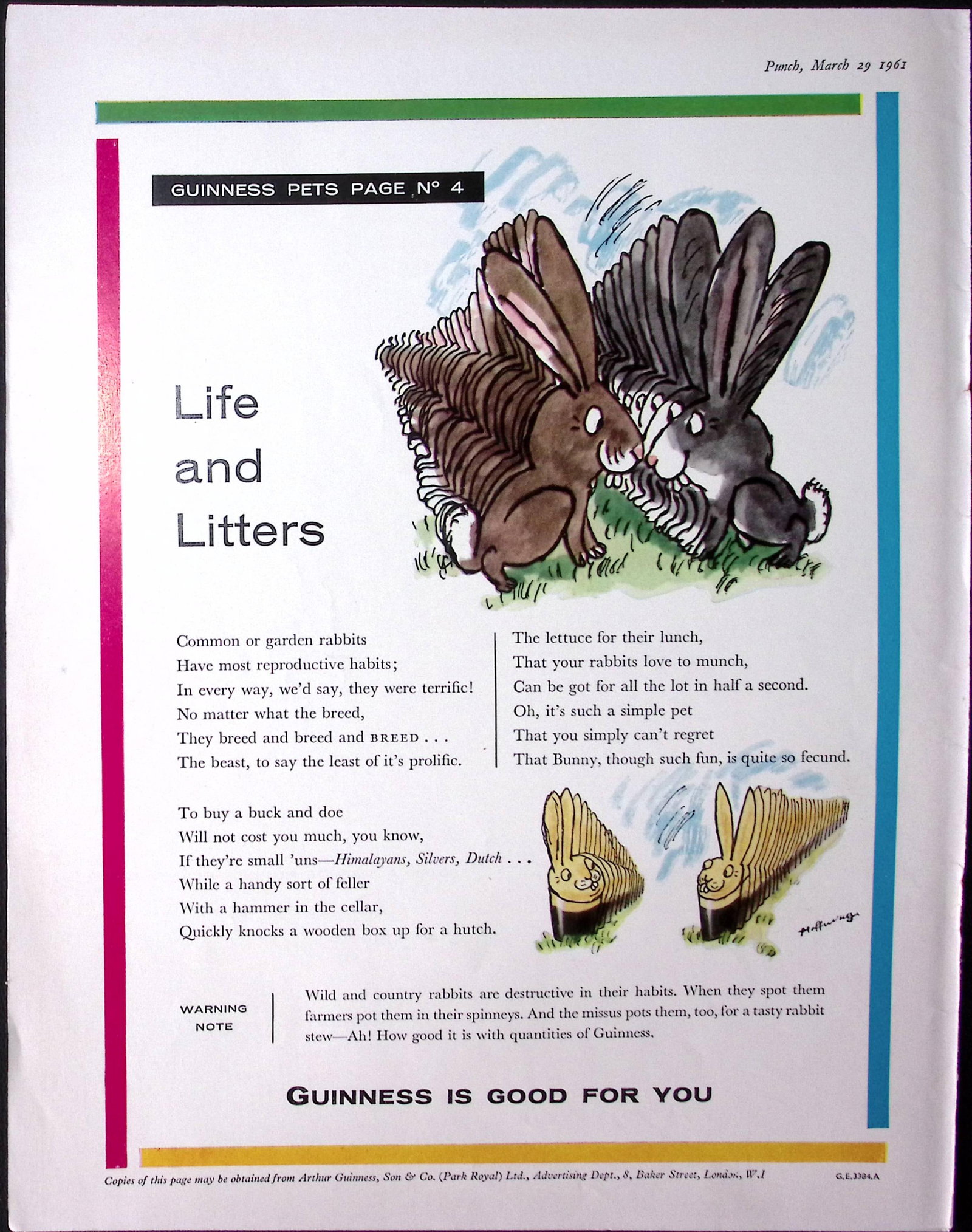 Guinness 1961 Original 65 Years-Old Print Rabbit Litters- G.E.3384-A. (1 of 1)