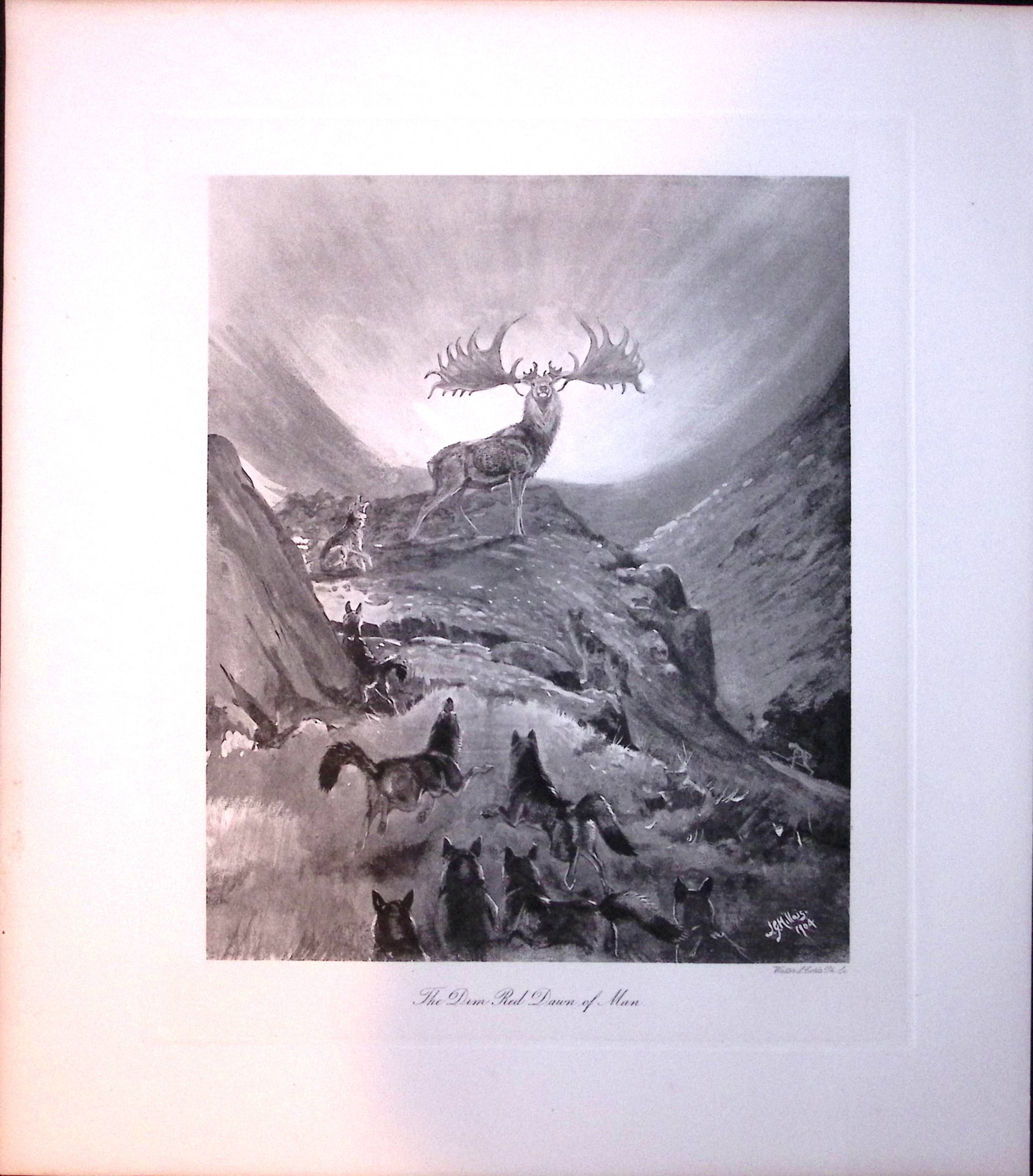 Job-Lot J.G. Millais Rare Limited-Edition Stag Family Species Antique Prints-16 - 6