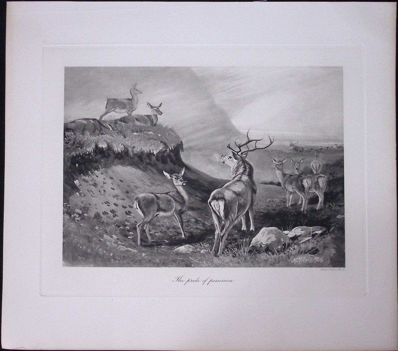 Job-Lot J.G. Millais Rare Limited-Edition Stag Family Species Antique Prints-17 - 3