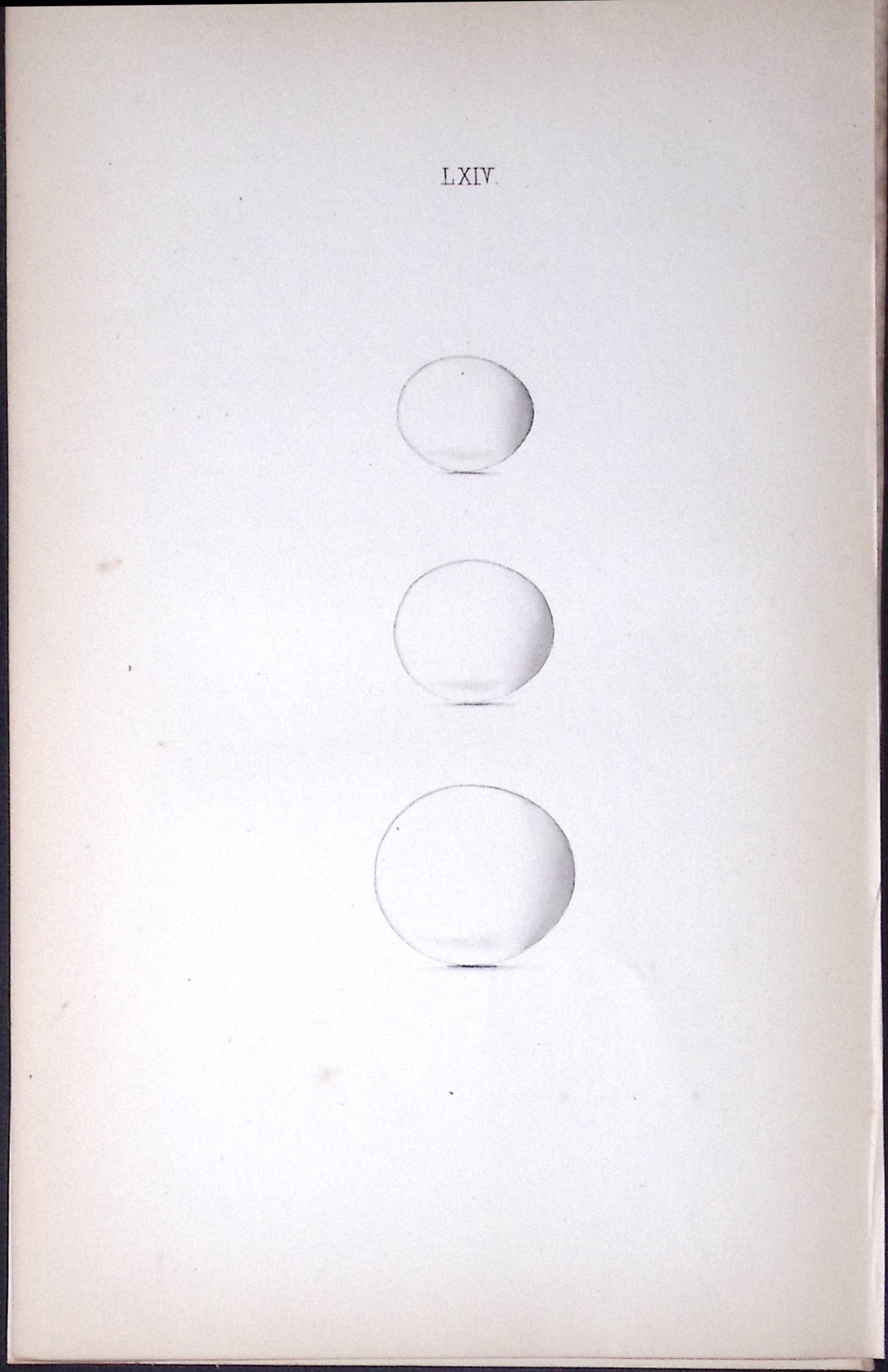 Kingfisher-William Hewitson Antique Nests & Eggs of British Birds Print-52 (1 of 1)