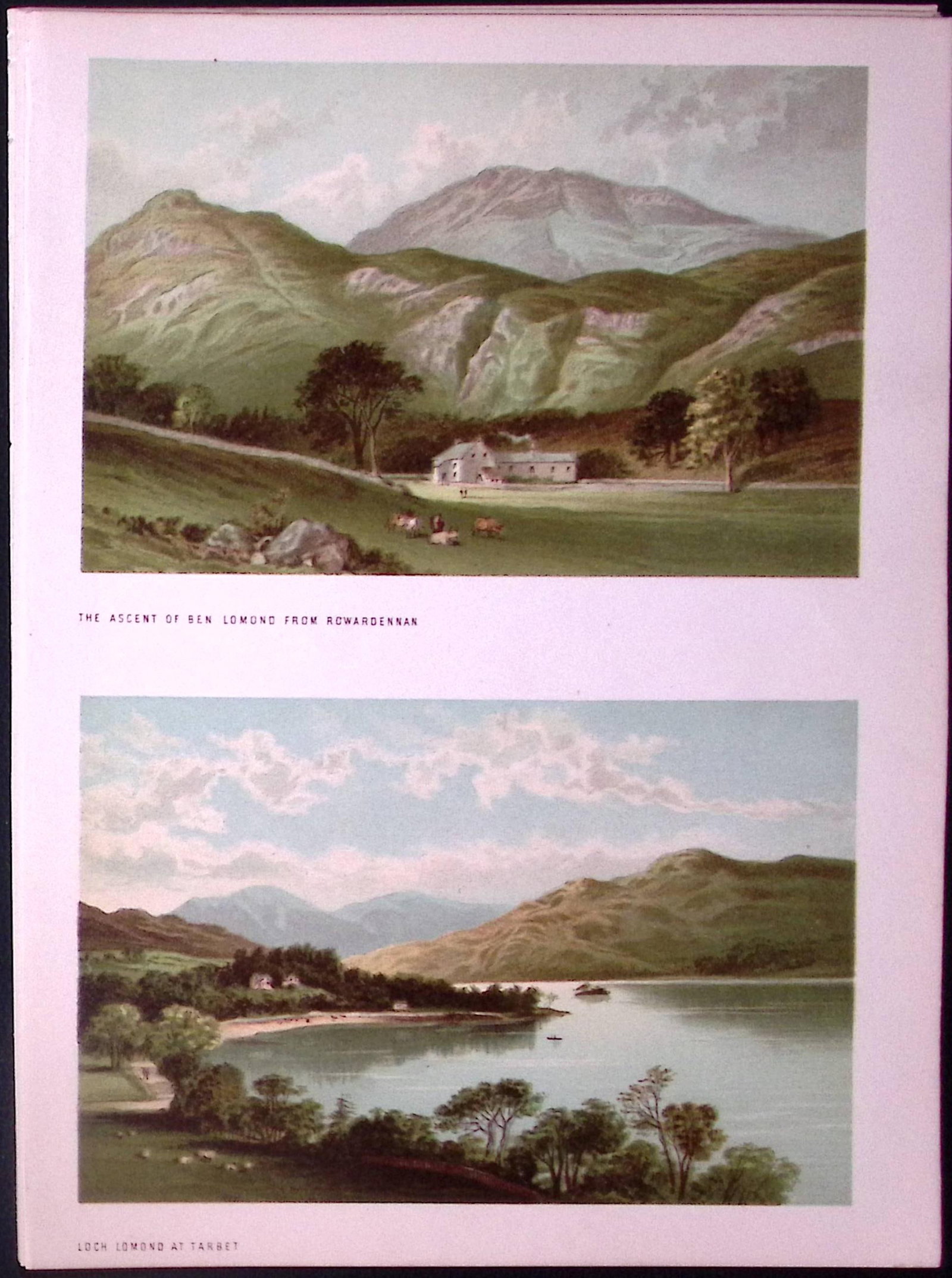 Scotland Rowardennan & Tarbet Loch Lomond Antique Coloured Print-38: Title: Scotland Rowardennan & Tarbet Loch Lomond Antique Coloured Print-38 Description: This Antique Illustration Has Been Removed from a First Edition of.