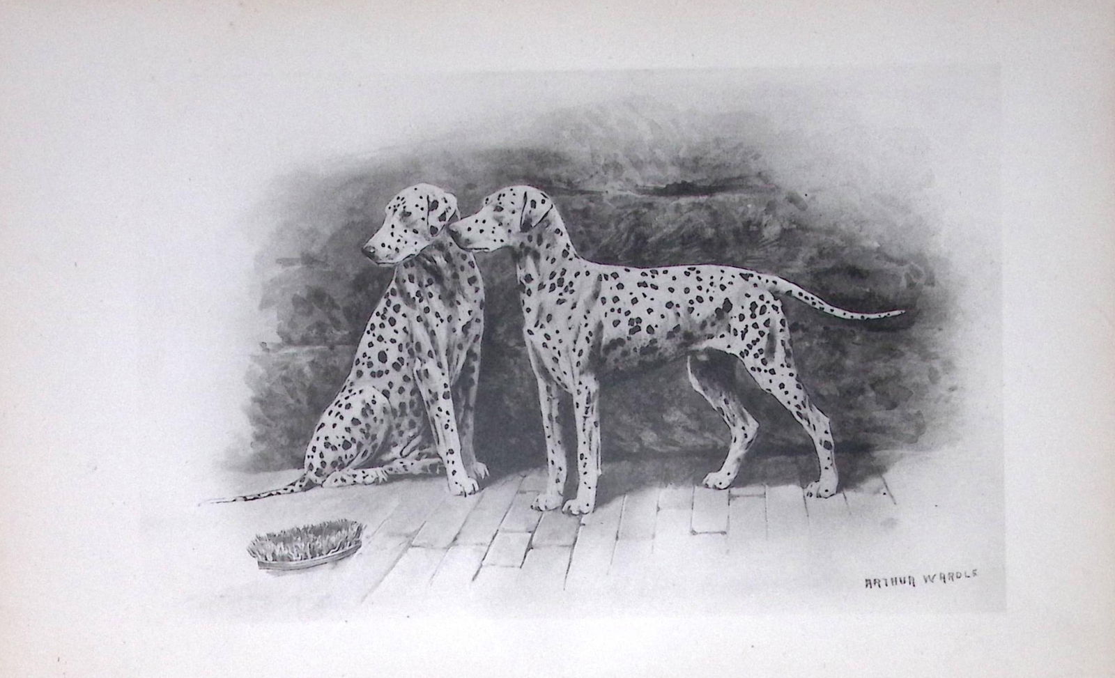 Dalmatians Antique Book Plate Rawdon Lee Modern Dogs 1893-11: Title: Dalmatians Antique Book Plate Rawdon Lee Modern Dogs 1893-11 Description: This Antique Book Plate Was Removed from an Edition of Modern Dogs by Rawdon Lee 1893. Each Print Measures