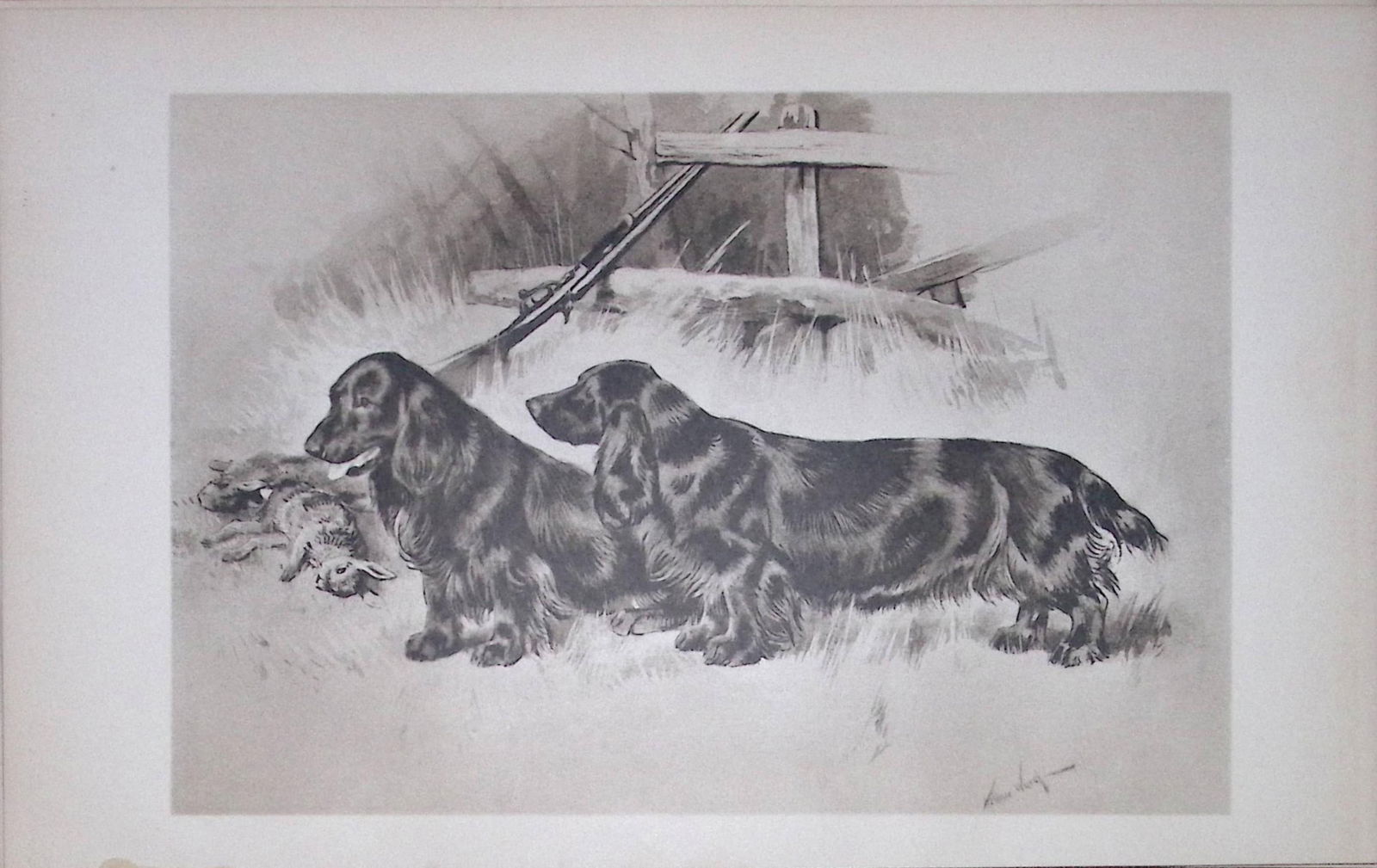 Pair Black Field Spaniels Antique Book Plate Rawdon Lee Modern Dogs 1906-64: Title: Pair Black Field Spaniels Antique Book Plate Rawdon Lee Modern Dogs 1906-64 Description: This Antique Book Plate Was Removed from an Edition of Modern Dogs by Rawdon Lee 1906.