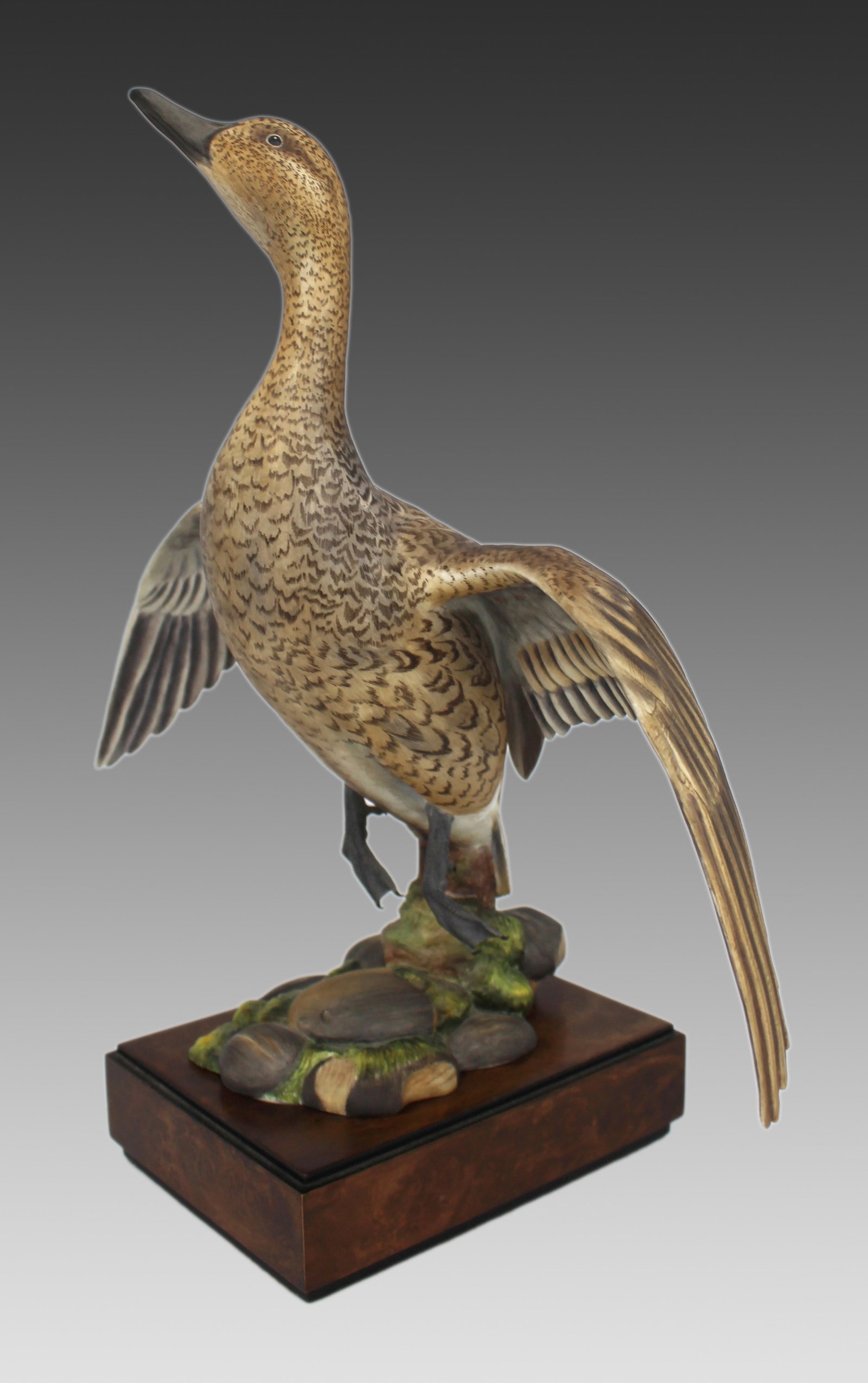 Royal Worcester ‘American Pintail’ by Ronald Van Ruyckevelt, 1970 - 11