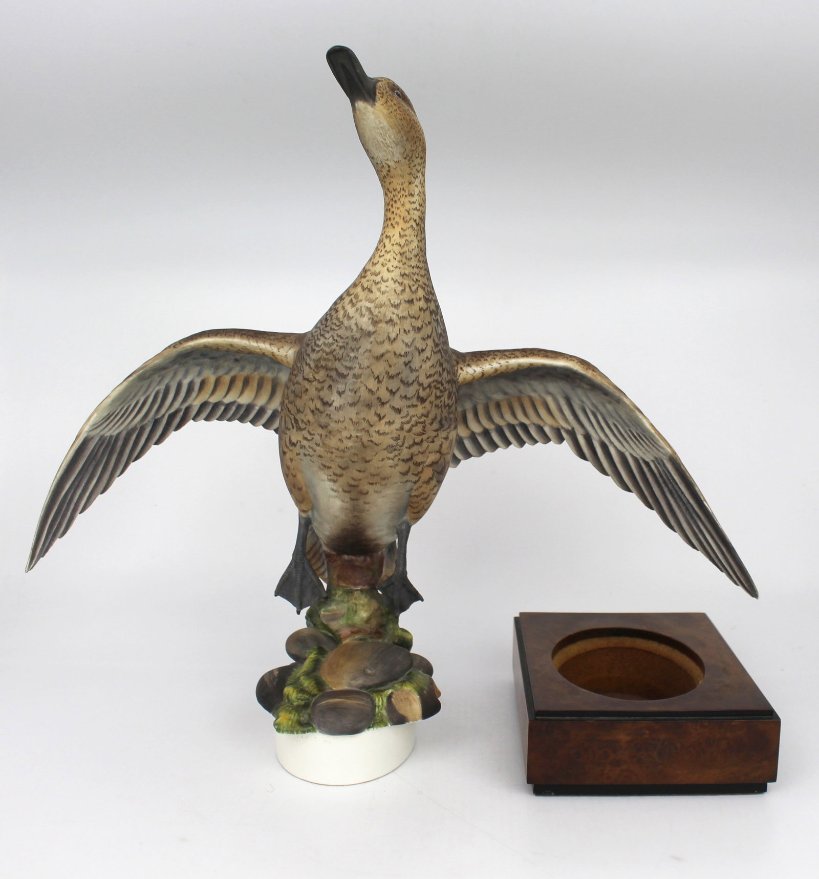 Royal Worcester ‘American Pintail’ by Ronald Van Ruyckevelt, 1970 - 17