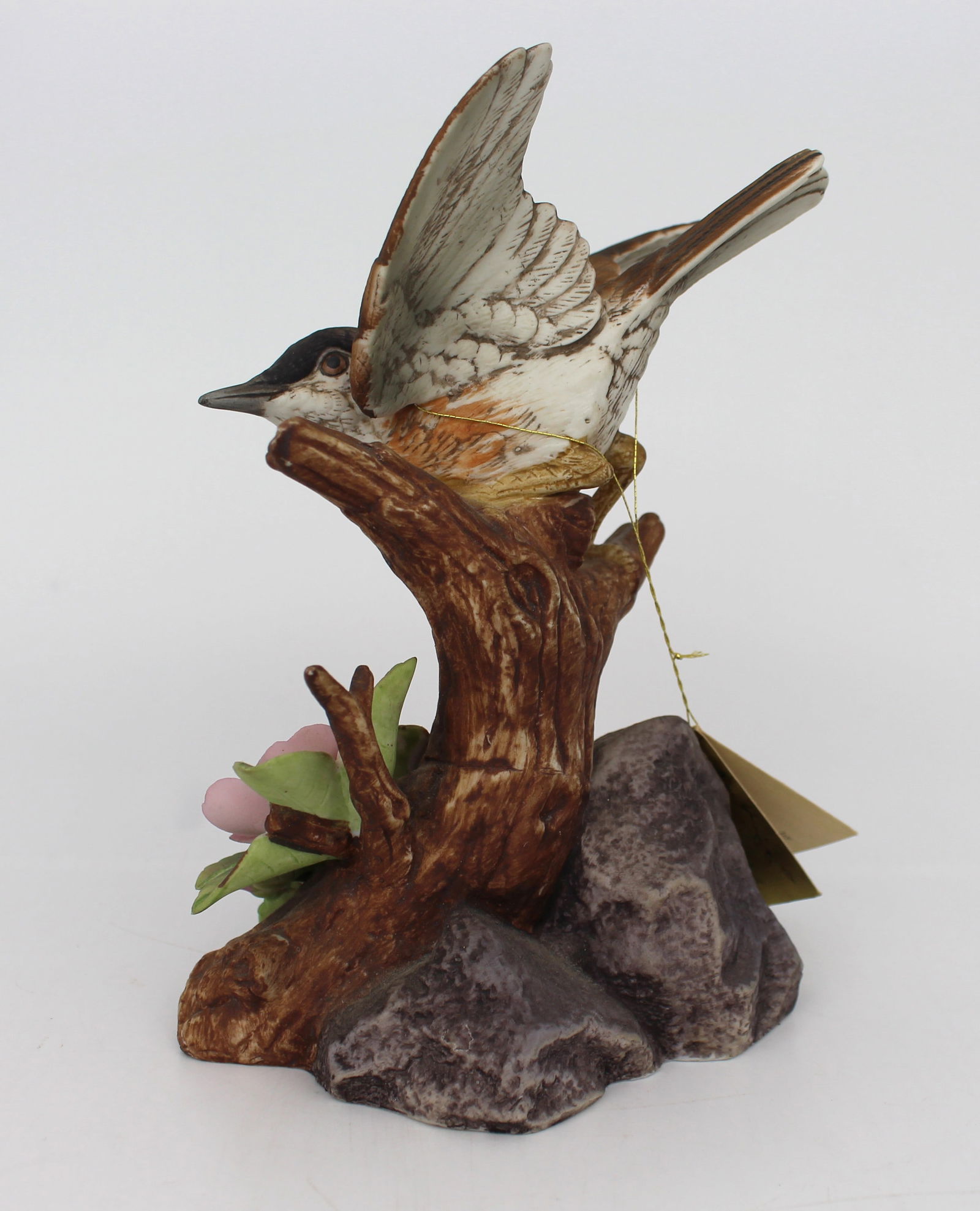 Porcelain Whitethroat by Kowa - 2