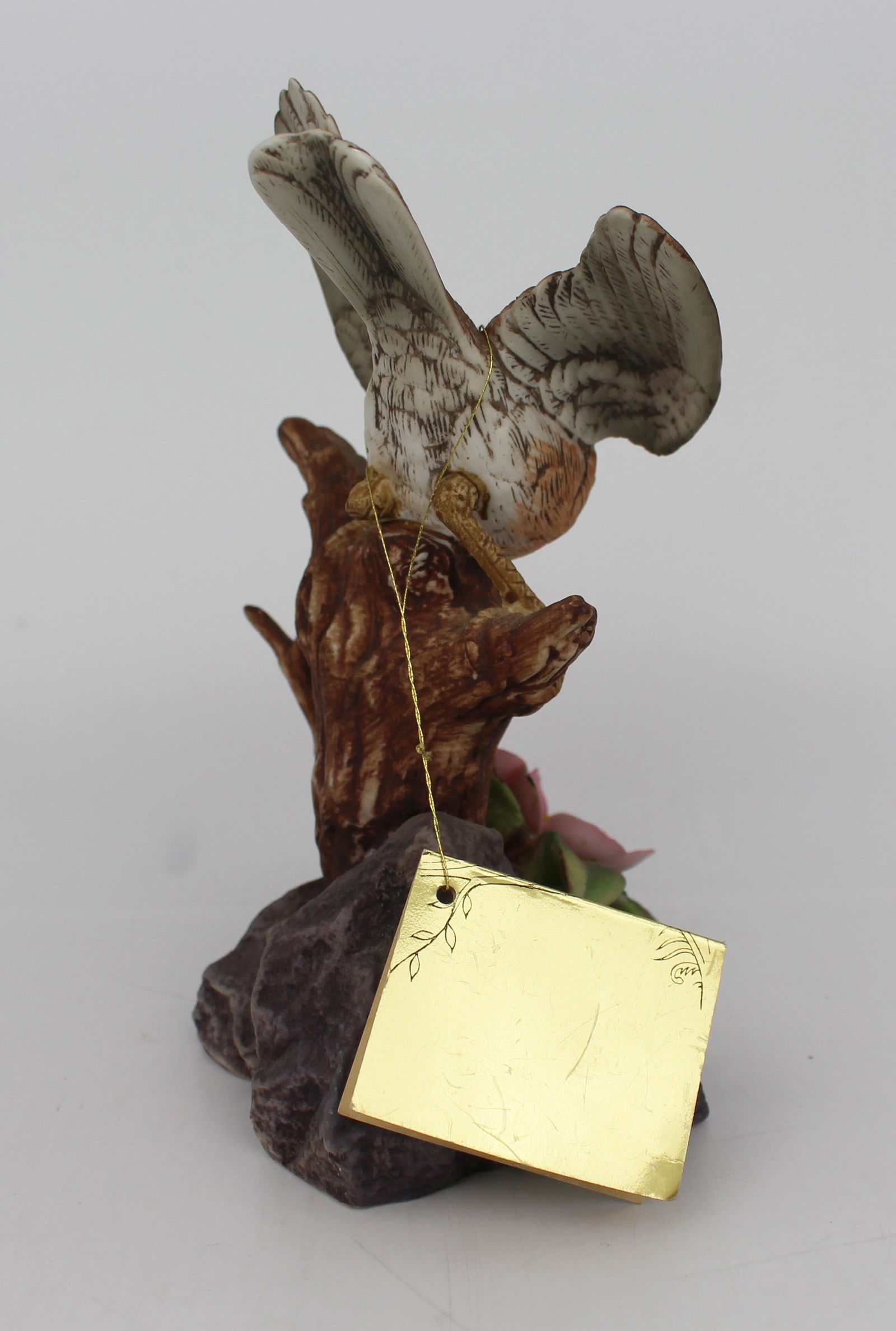 Porcelain Whitethroat by Kowa - 3