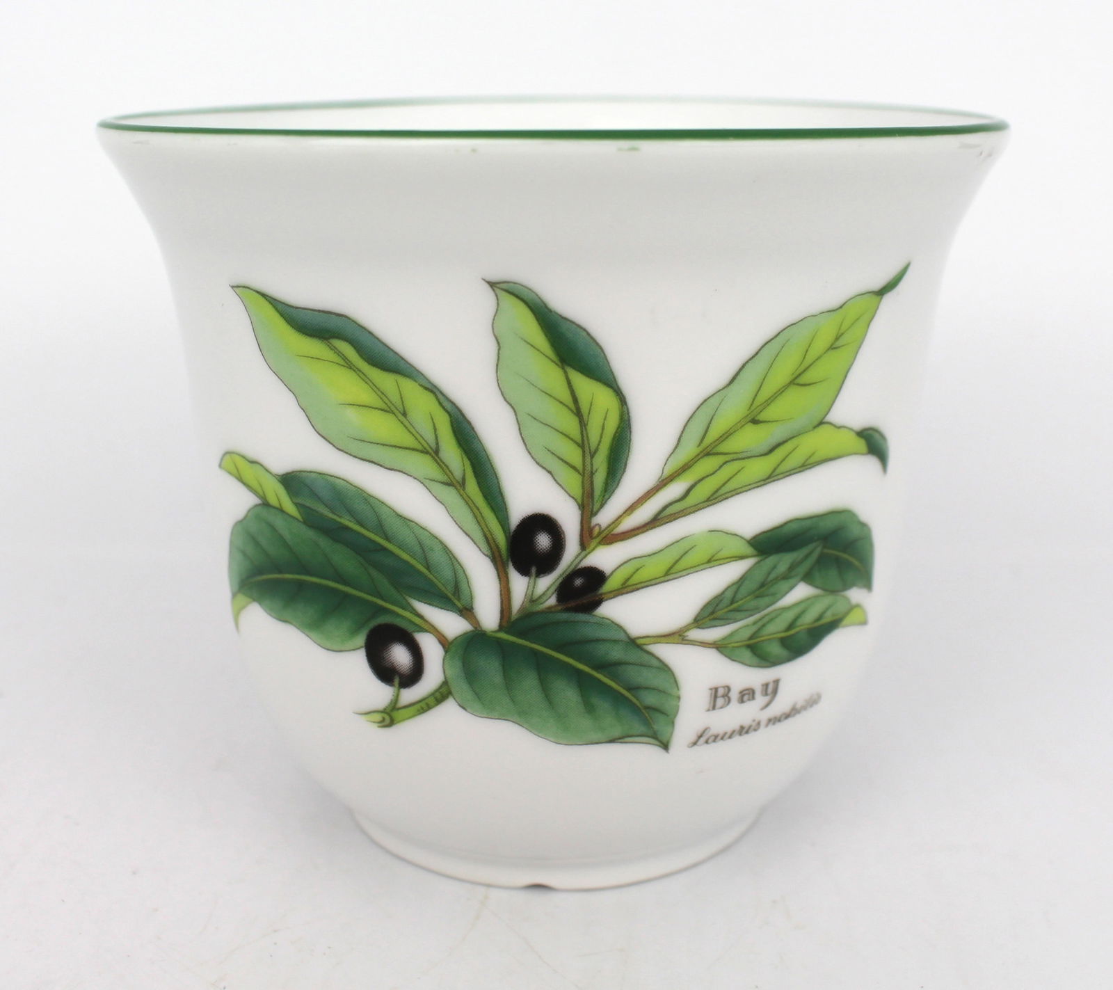 Royal Worcester Herbs Series Pot – Sage (Salvia Officinalis) – 1990: Title: Royal Worcester Herbs Series Pot – Sage (Salvia Officinalis) – 1990 Description: Royal Worcester Herbs Series Pot – Sage (Salvia Officinalis) – 1990 – Made in