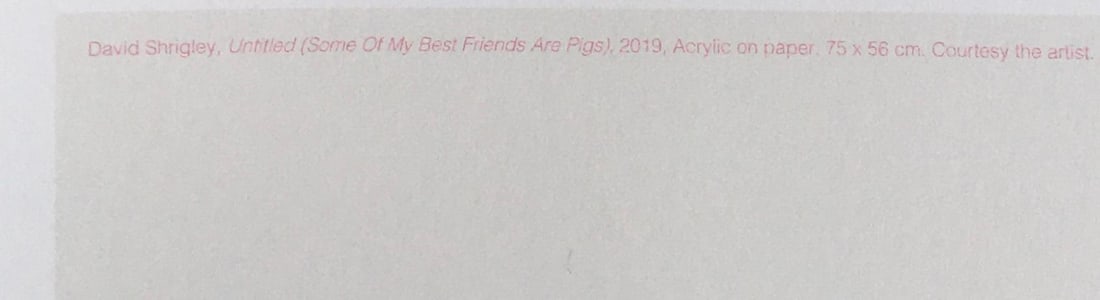David Shrigley OBE (b 1968) ‘Some of My Best Friends Are Pigs’ Offset Lithograph, Editio - 11
