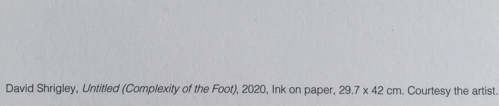 David Shrigley OBE (b 1968)‘Complexity of The Foot’ Offset Lithograph, Ltd Edition of 35 - 10