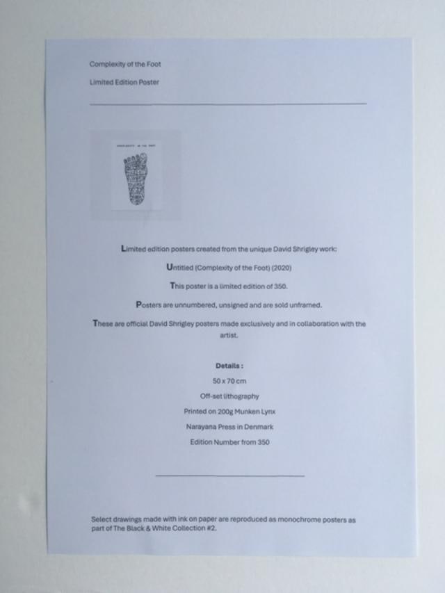 David Shrigley OBE (b 1968)‘Complexity of The Foot’ Offset Lithograph, Ltd Edition of 35 - 11