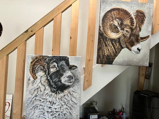 2 Ram Oil Paintings On Canvas. Artist Is Miranda Assink: Title: 2 Ram Oil Paintings On Canvas. Artist Is Miranda Assink Description: Excellent condition. Beautiful oil paintings and signed by the artist Miranda Assink in 2020. Wonderful details on their