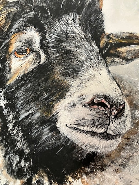 2 Ram Oil Paintings On Canvas. Artist Is Miranda Assink - 5