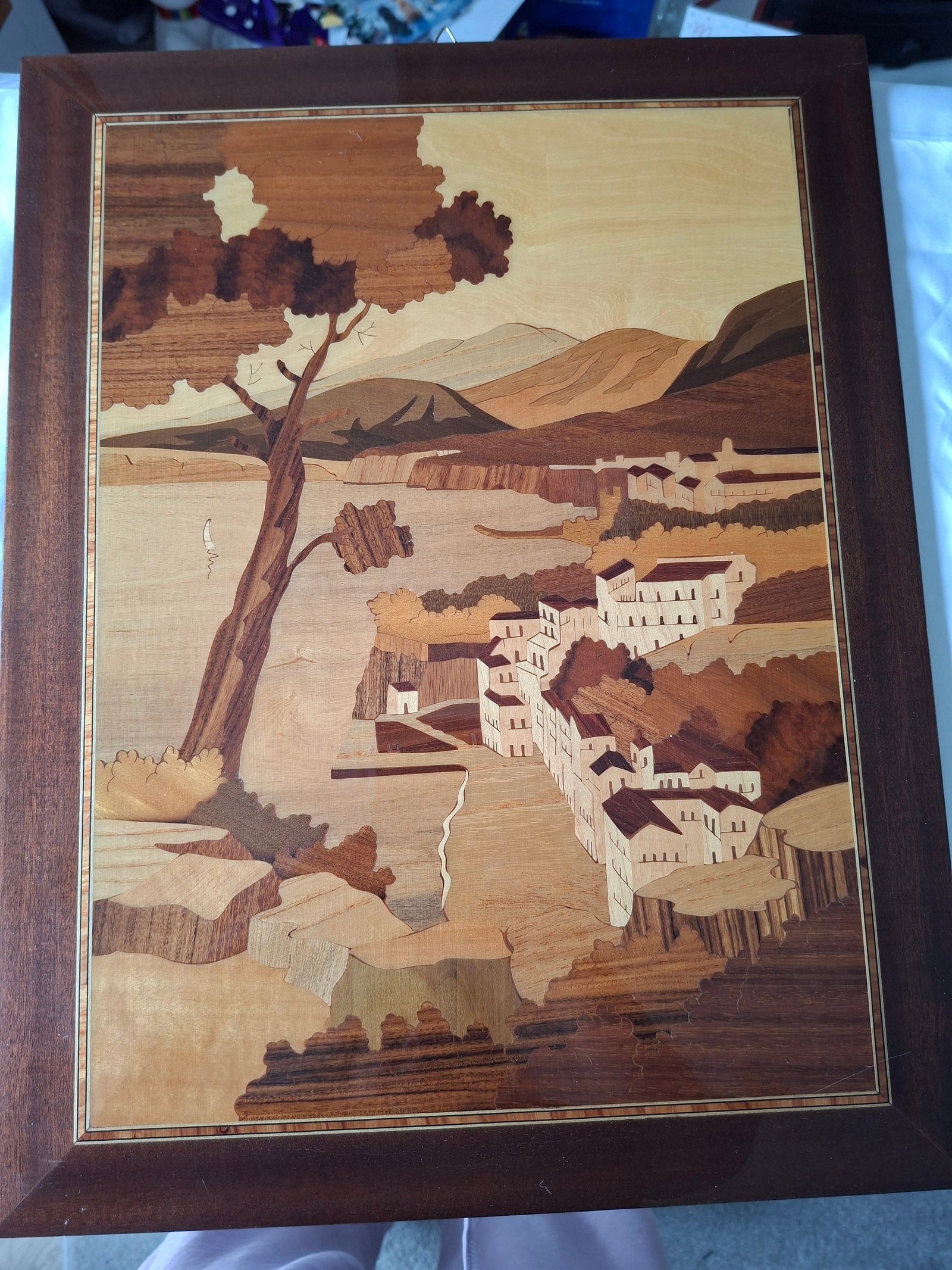 Japanese Picture: Title: Japanese Picture Description: Beautiful Japanese picture Condition: Used Delivery option: Collection & Delivery Location: ME13 Category: Collectables