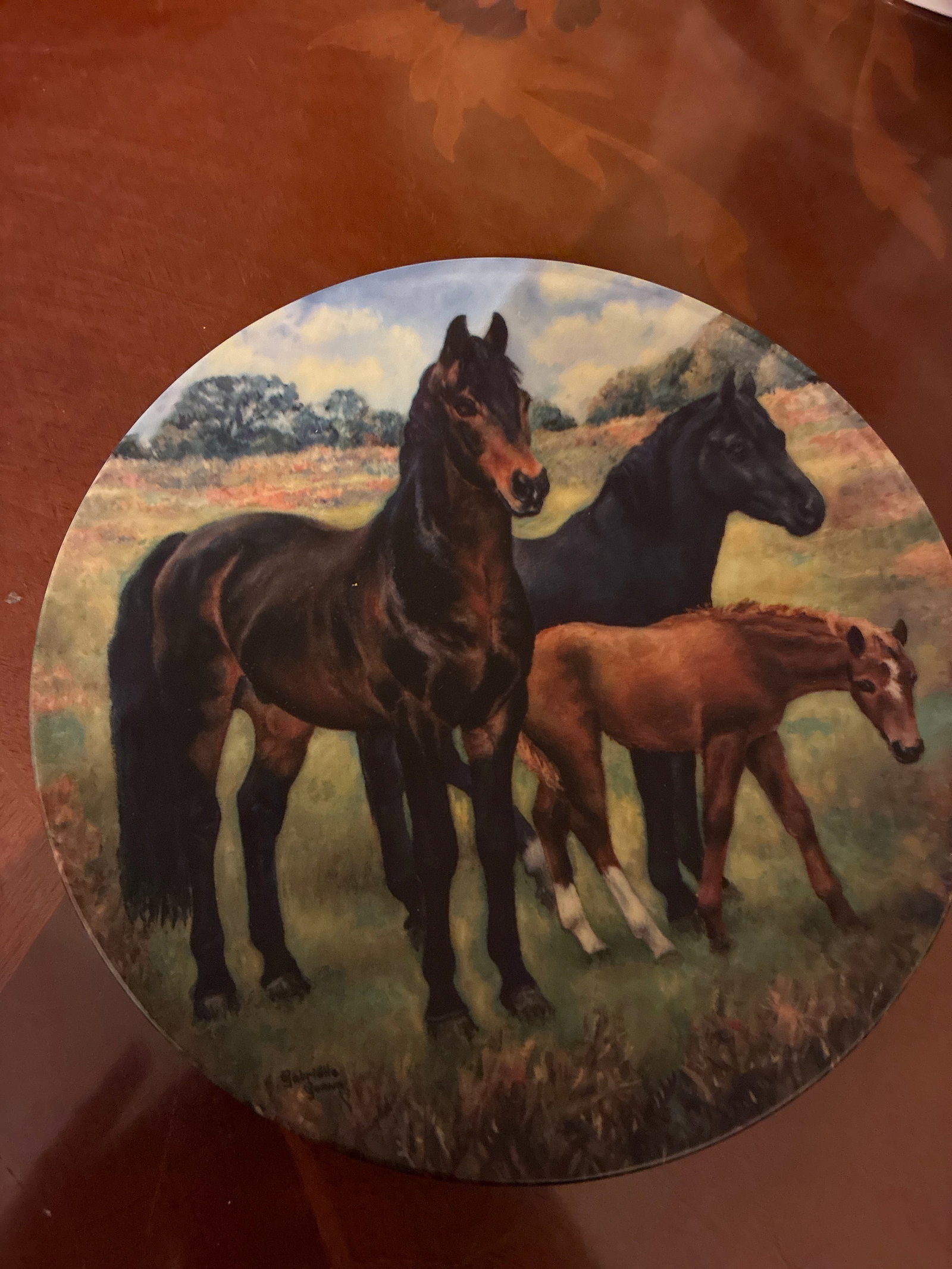 Collectors Plate “New Forest Ponies” Bradford Exchange: Title: Collectors Plate “New Forest Ponies” Bradford Exchange Description: If you would like this item posted please contact me for a quote Condition: Used Delivery option: