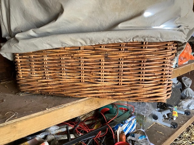 Austin 10 Basket and Austin Books - 11
