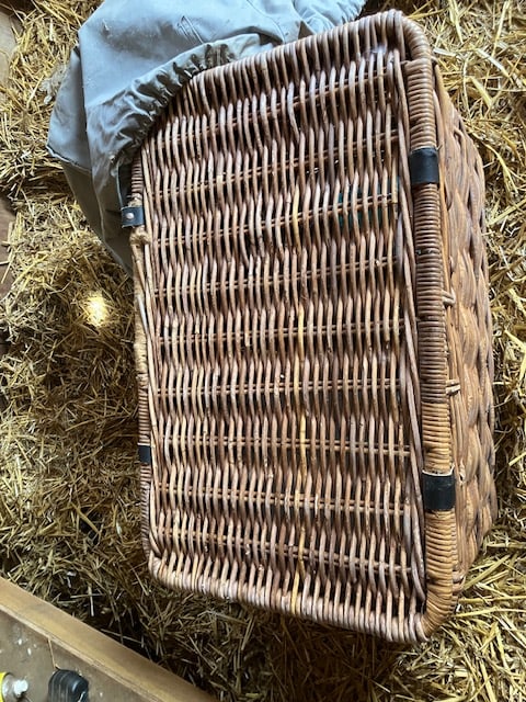 Austin 10 Basket and Austin Books - 12