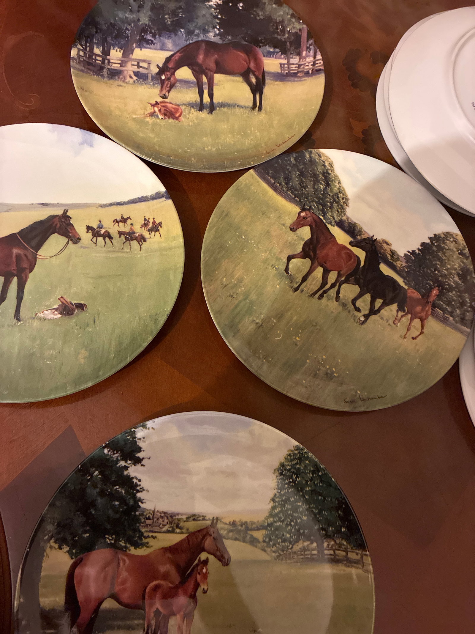 Four Coalport Collectors Plates “Life of A Thoroughbred”: Title: Four Coalport Collectors Plates “Life of A Thoroughbred” Description: If you would like these posted please contact me for a postage quote. Condition: Used Delivery option: