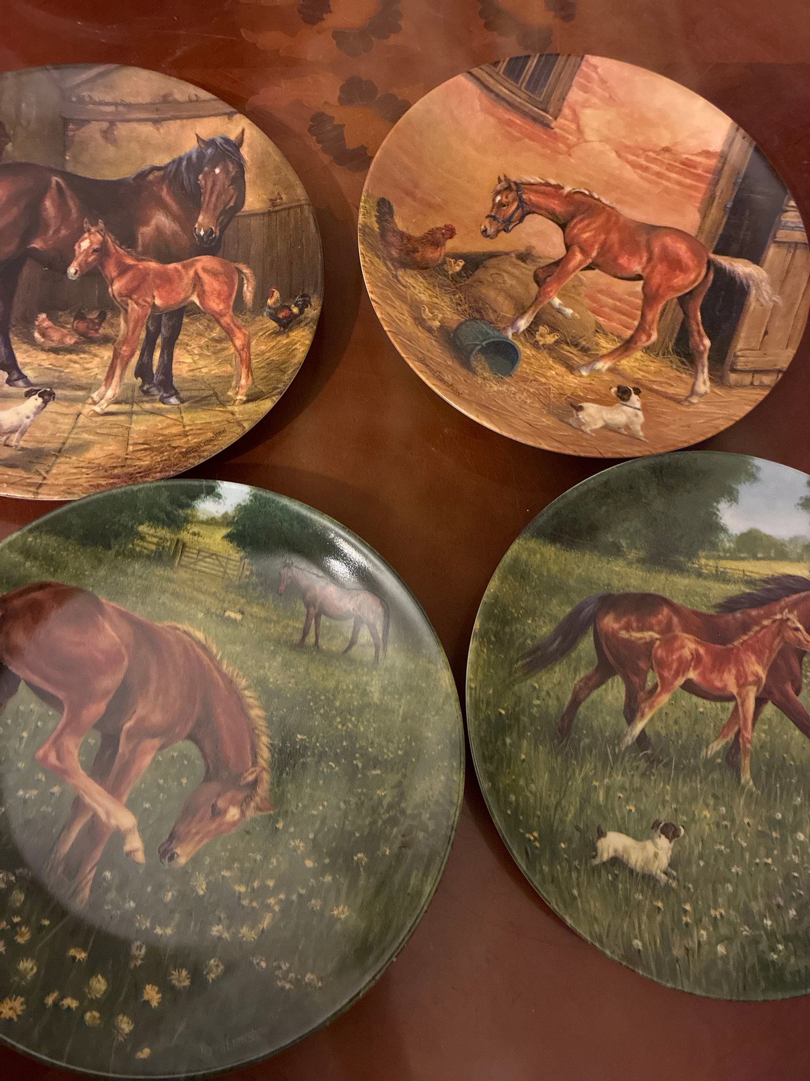 Royal Worcester Collectors Plates “Tomorrow’s Champion”: Title: Royal Worcester Collectors Plates “Tomorrow’s Champion” Description: If you would like this item posted please contact me for a quote Condition: New Delivery option: