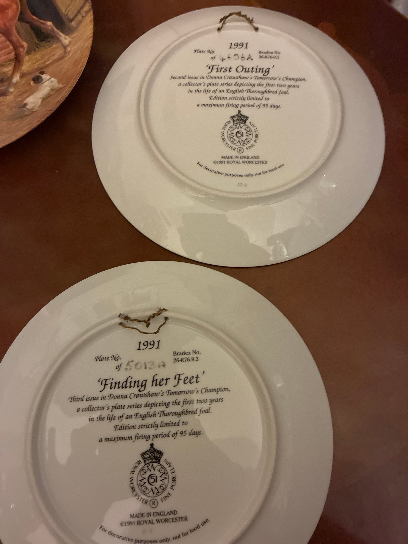 Royal Worcester Collectors Plates “Tomorrow’s Champion” - 2