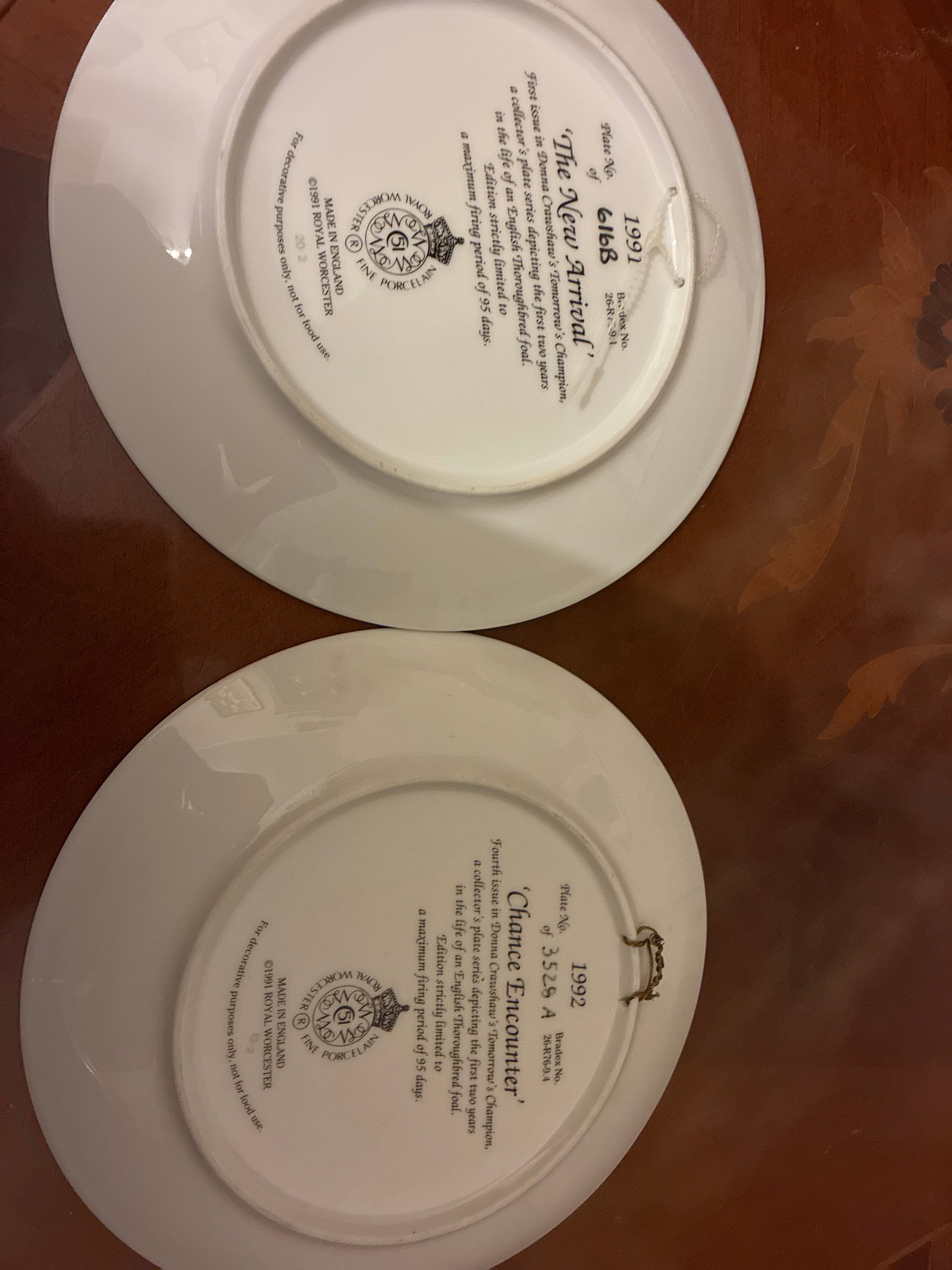 Royal Worcester Collectors Plates “Tomorrow’s Champion” - 3
