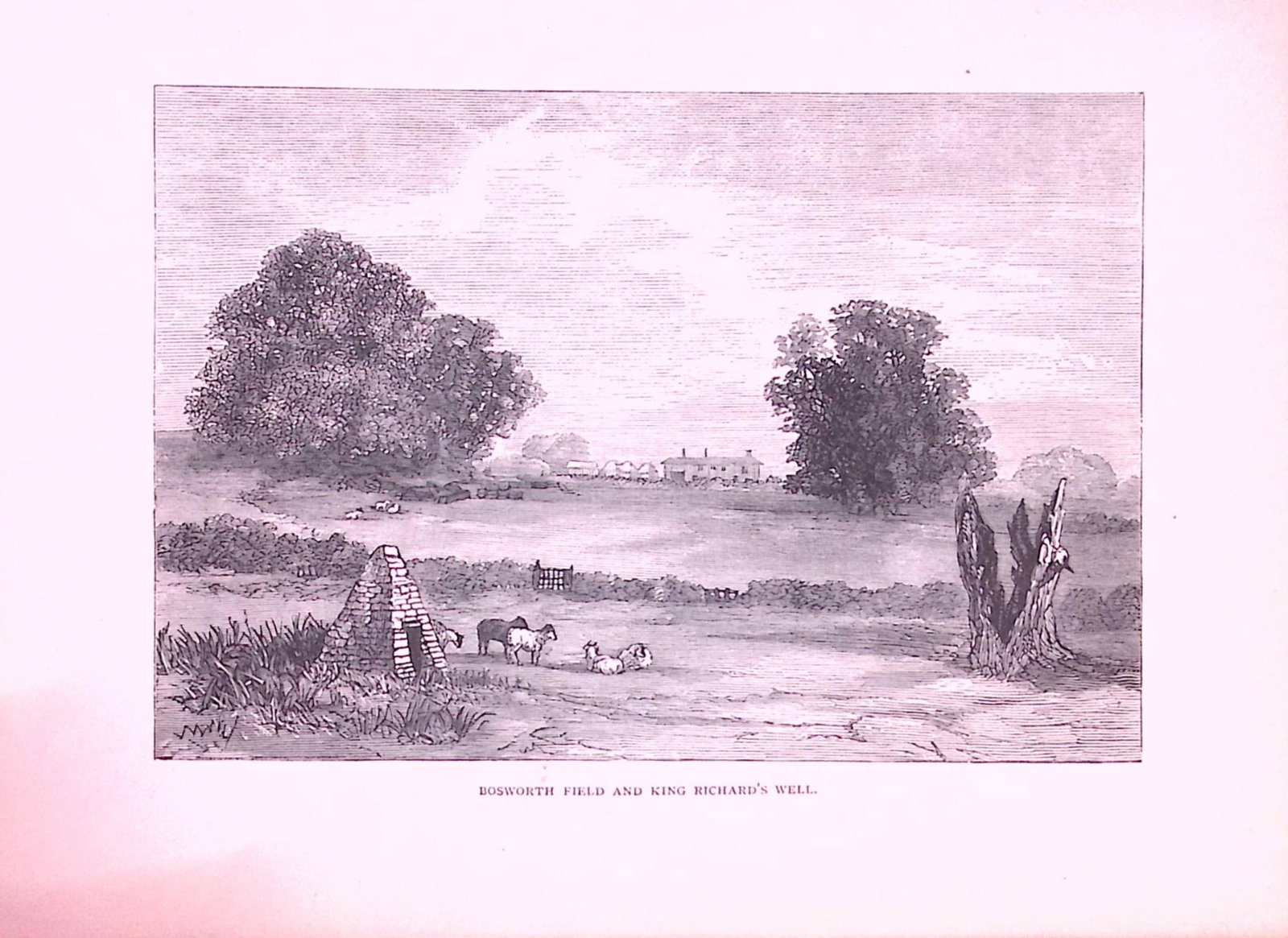 Bosworth Field Country Towns of Britain 145-Year-Old Woodcut Illustration-14 (1 of 1)