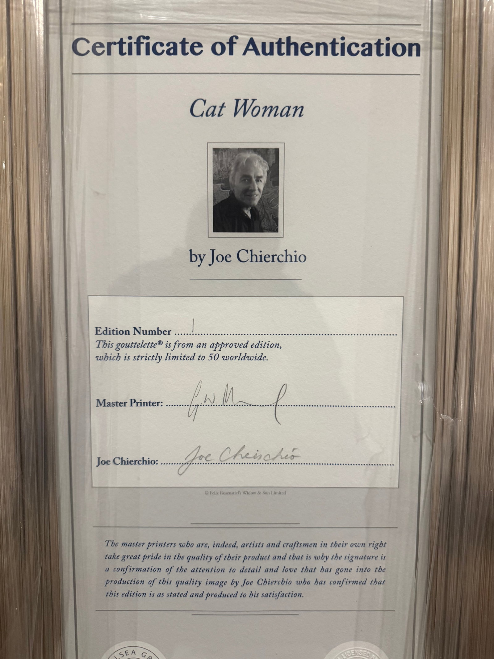 No.1 of 50 Worldwide Wide Catwoman By Joe Chierchio With Authenticity Certificate - 5