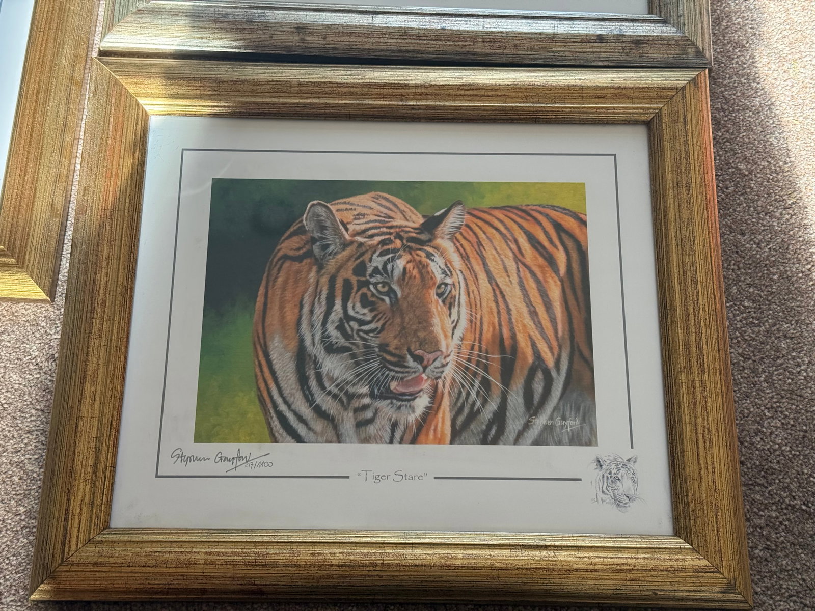 3 x Limited Edition Animal Prints By Artist Stephen Gayford All Framed In Matching Frames (1 of 10)