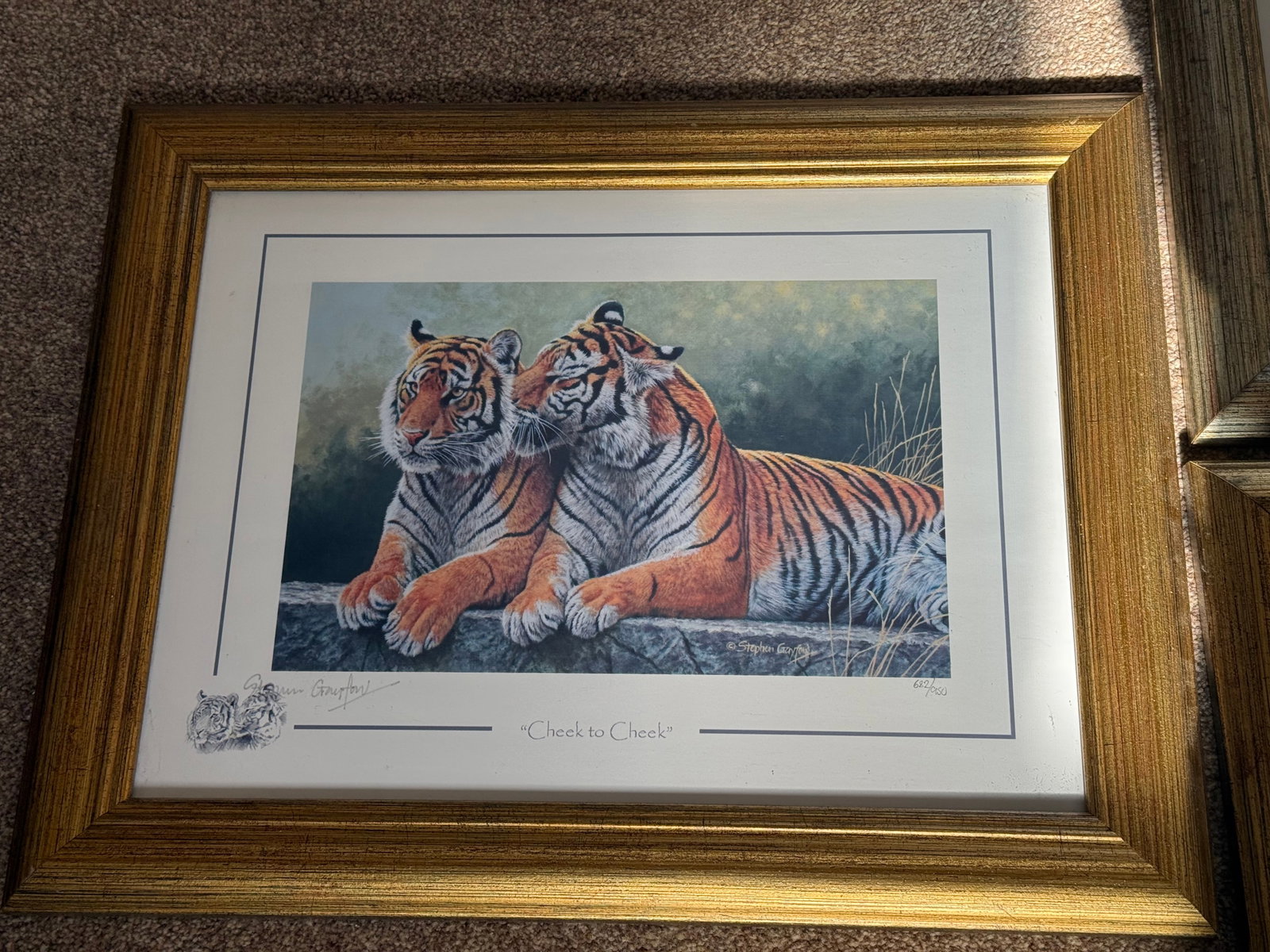 3 x Limited Edition Animal Prints By Artist Stephen Gayford All Framed In Matching Frames - 3