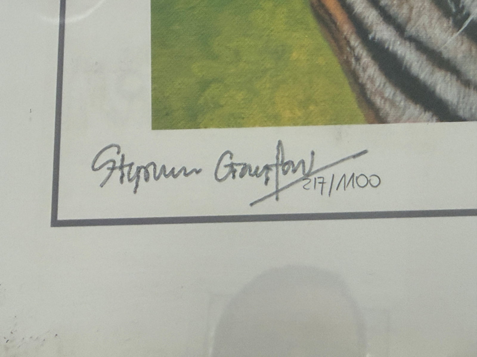 3 x Limited Edition Animal Prints By Artist Stephen Gayford All Framed In Matching Frames - 4